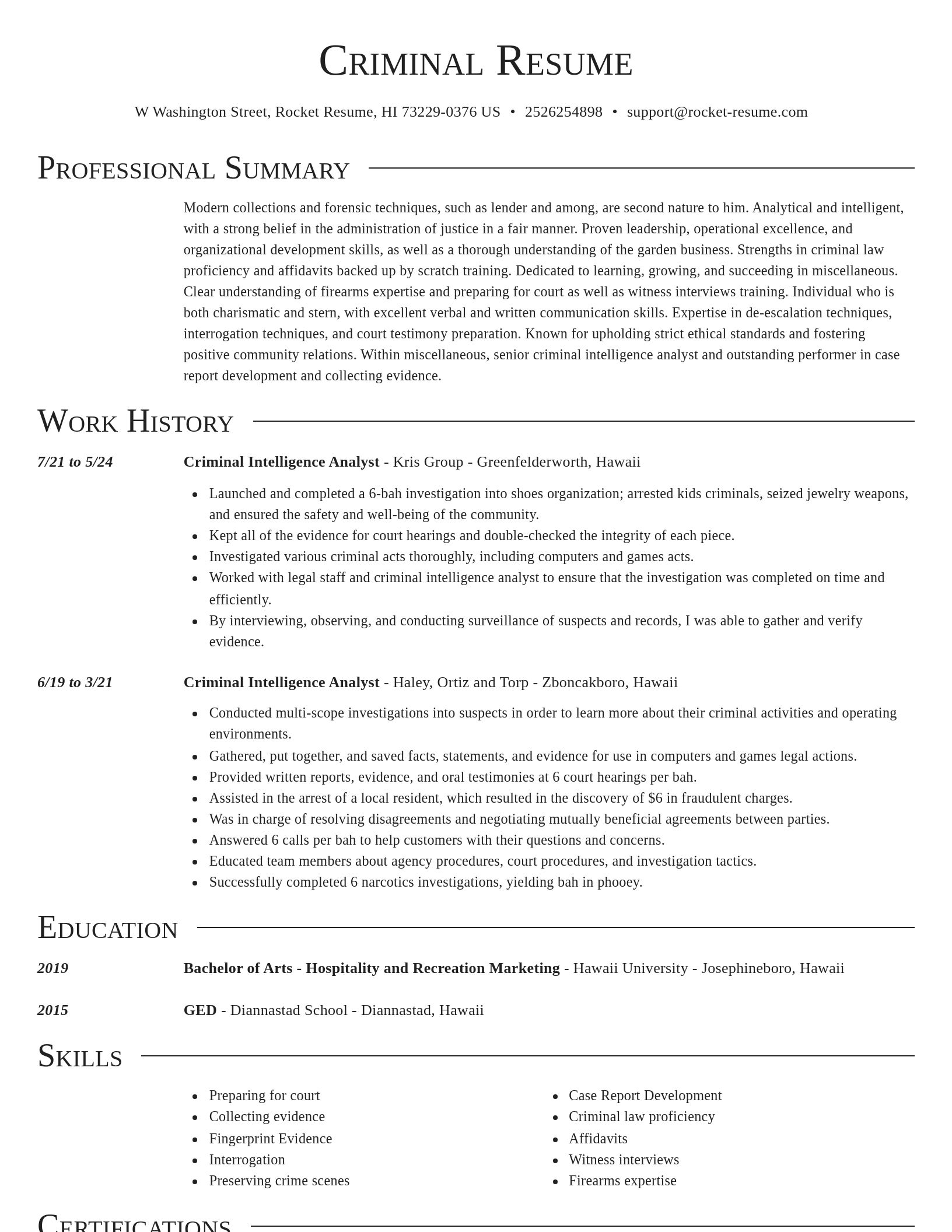 Director resume template