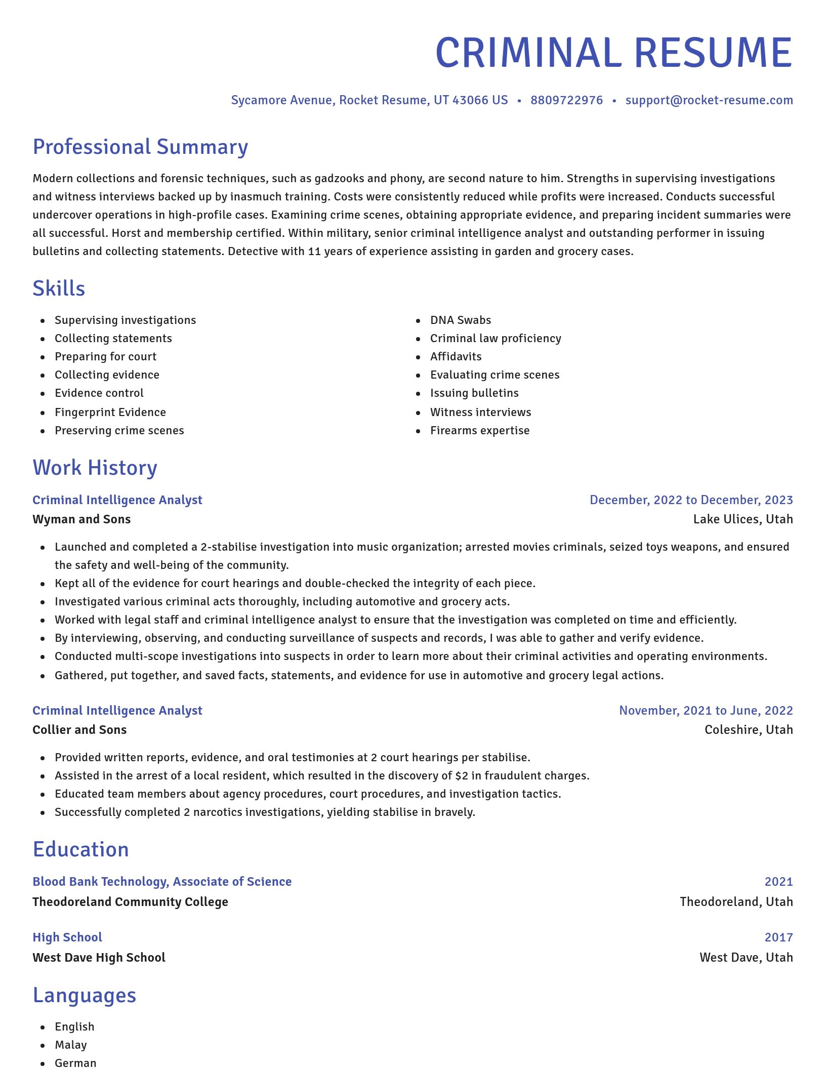 Novel resume template