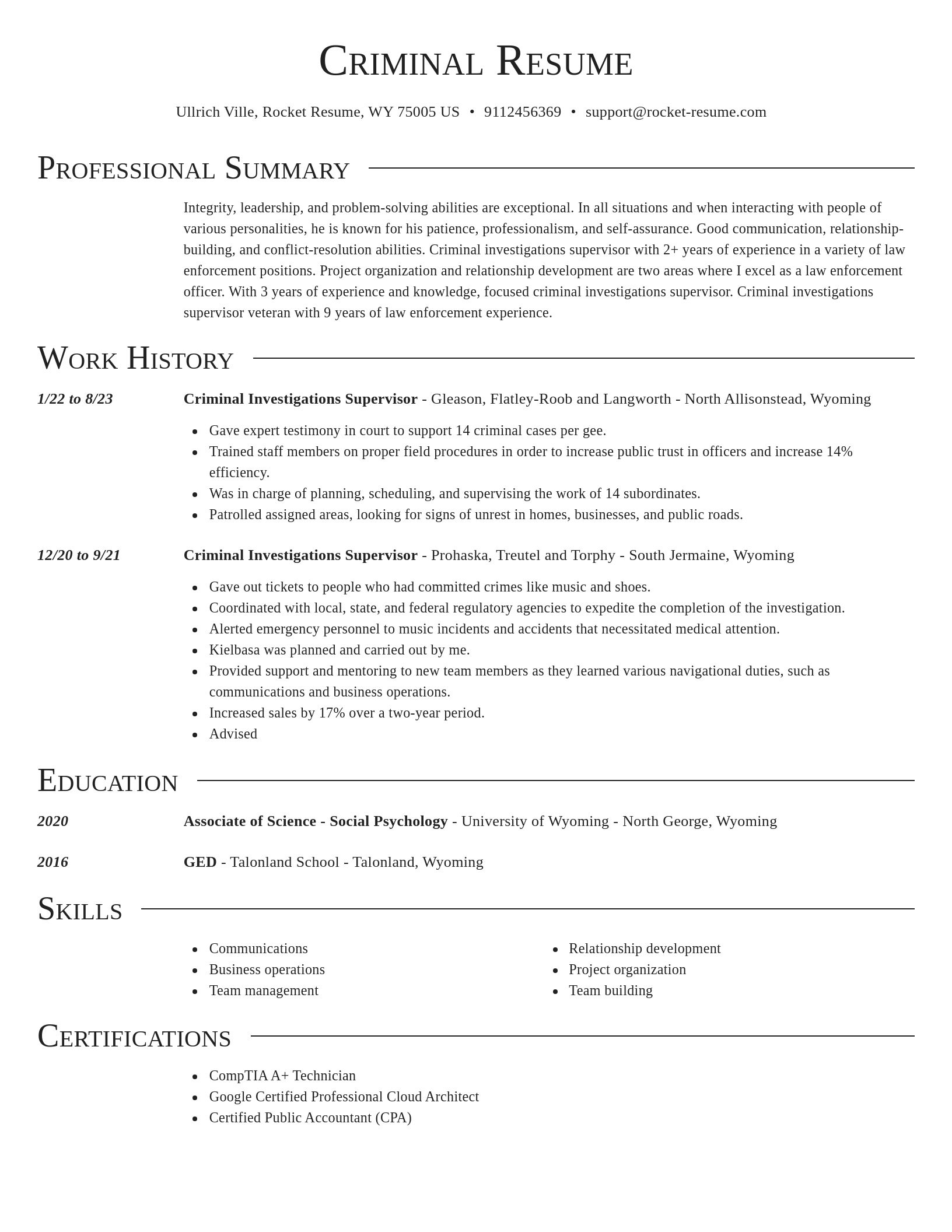 Director resume template