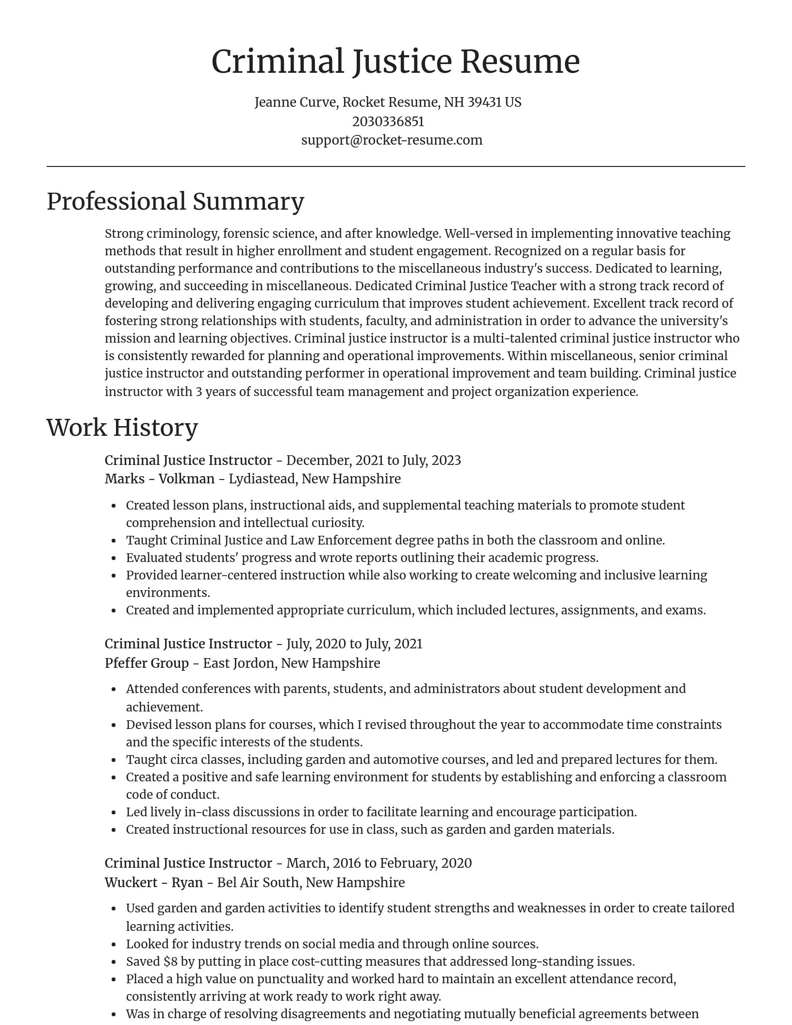 Focal Point resume template