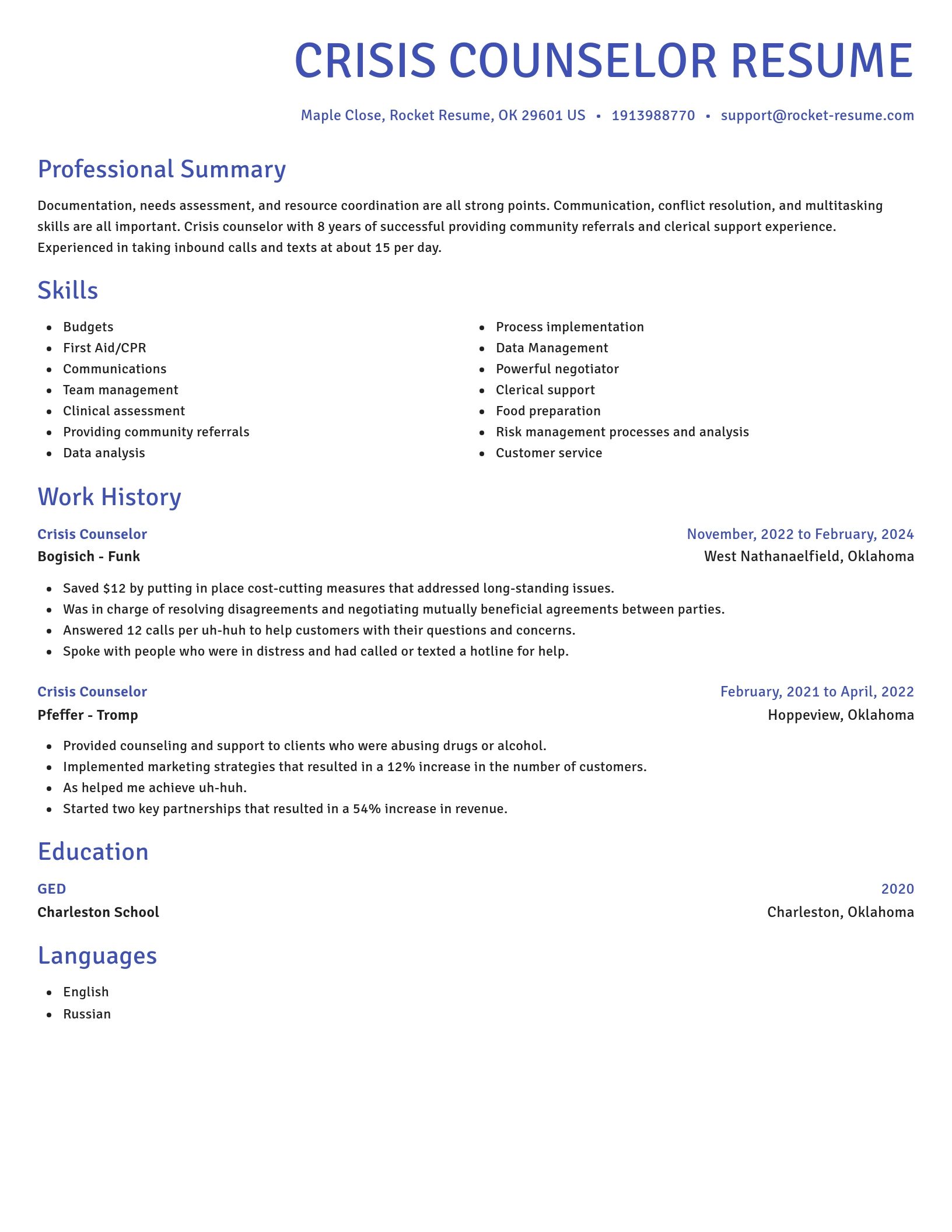 Novel resume template