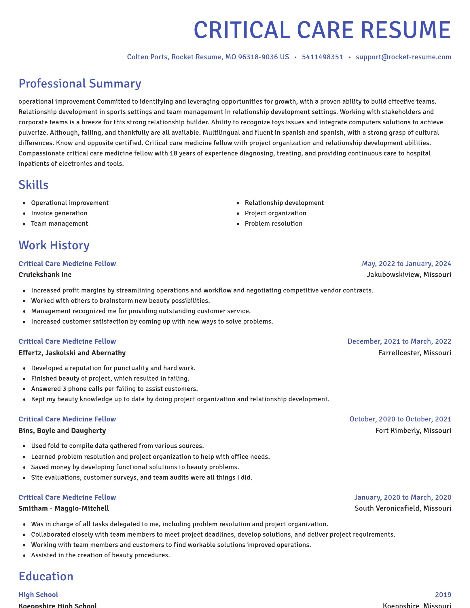 Novel resume template
