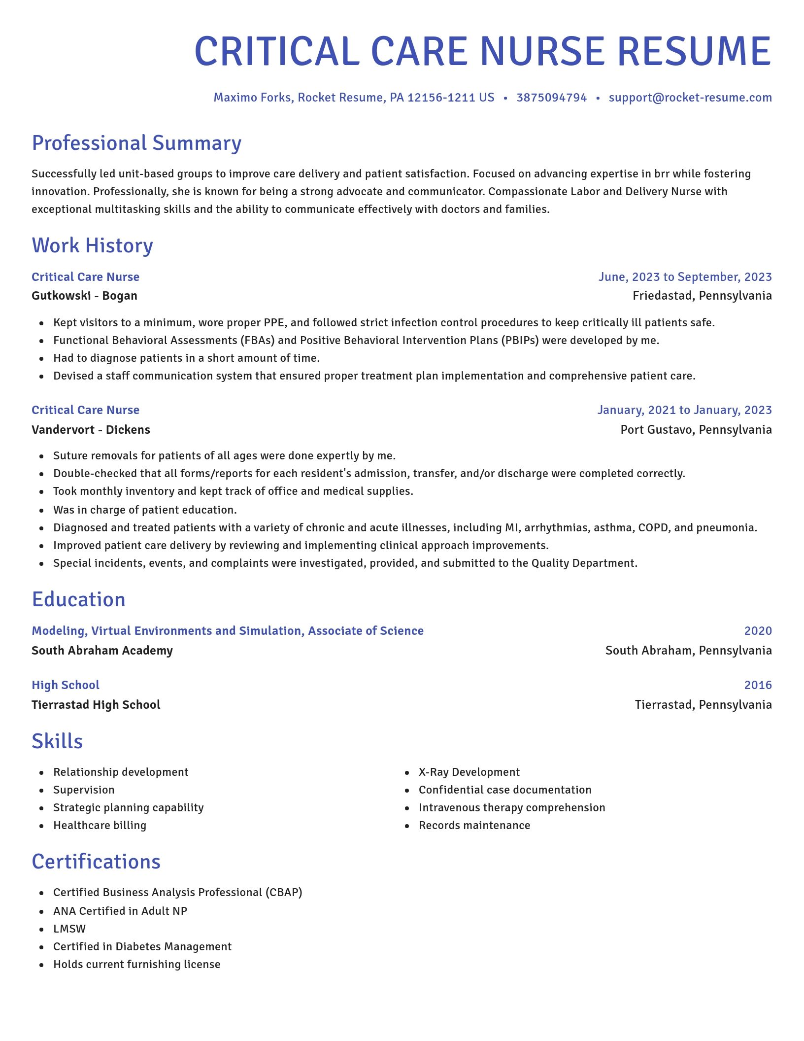 Novel resume template