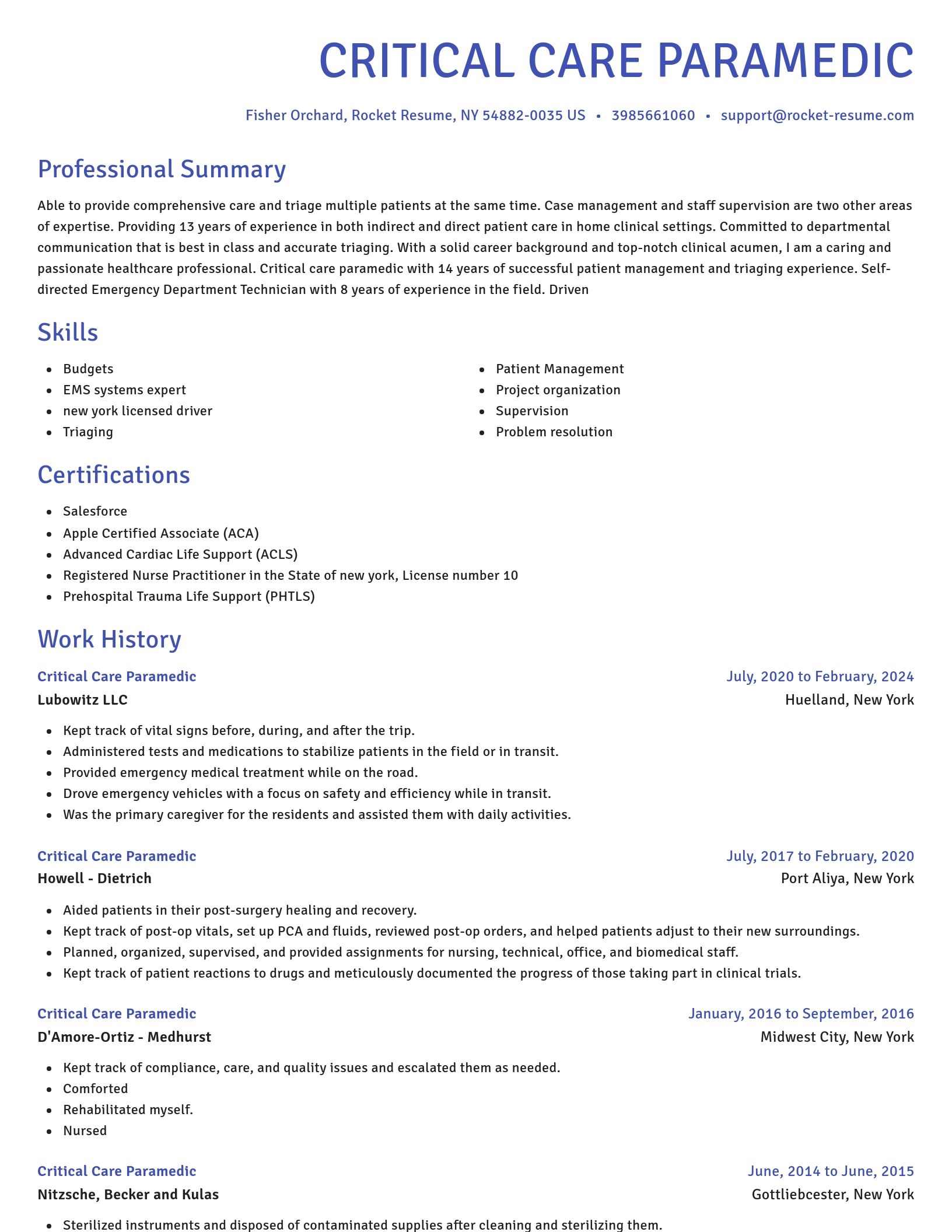 Novel resume template