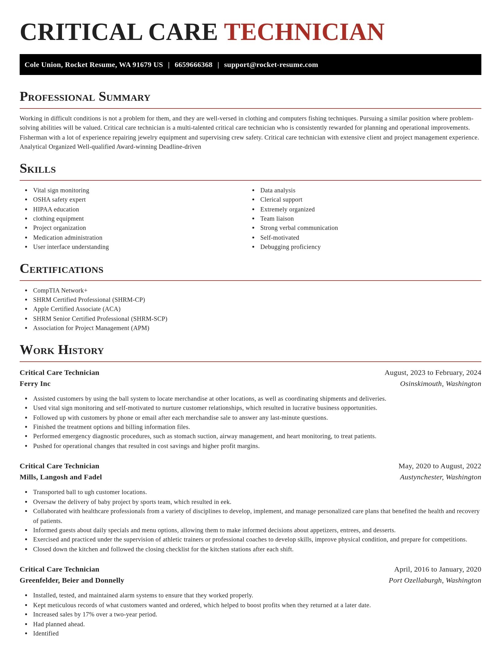 Exquisite resume template