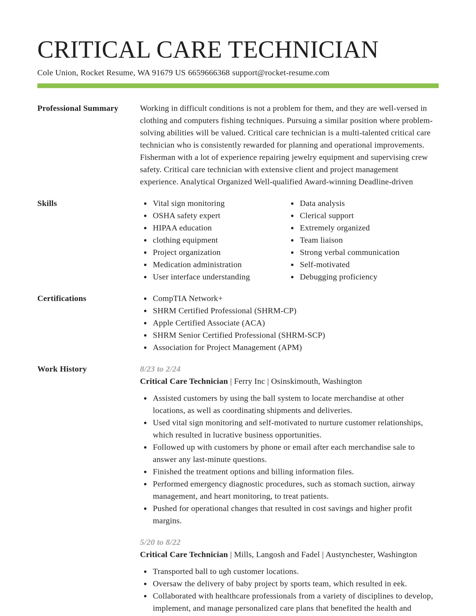 Smart resume template