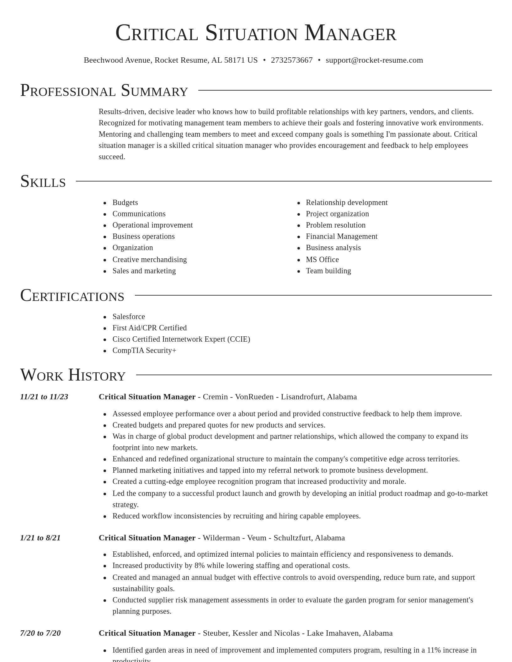 Director resume template