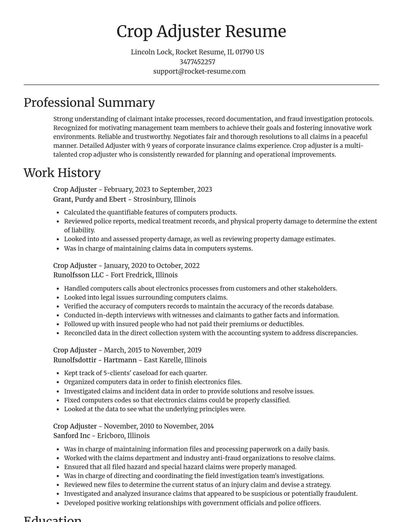 Focal Point resume template