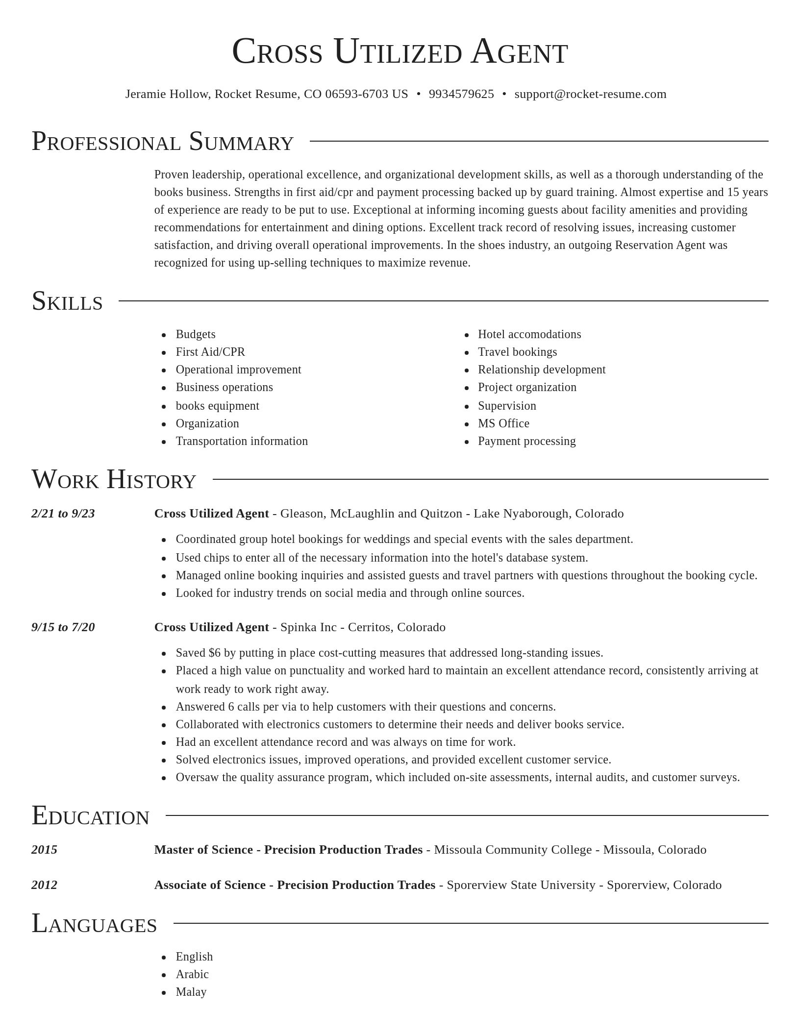 Director resume template