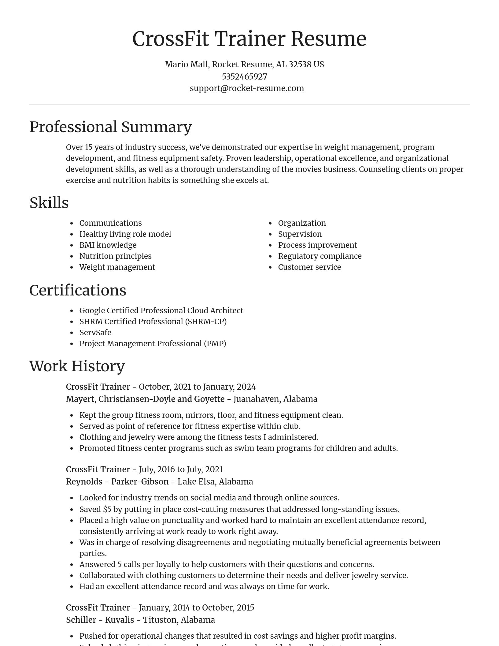 Focal Point resume template