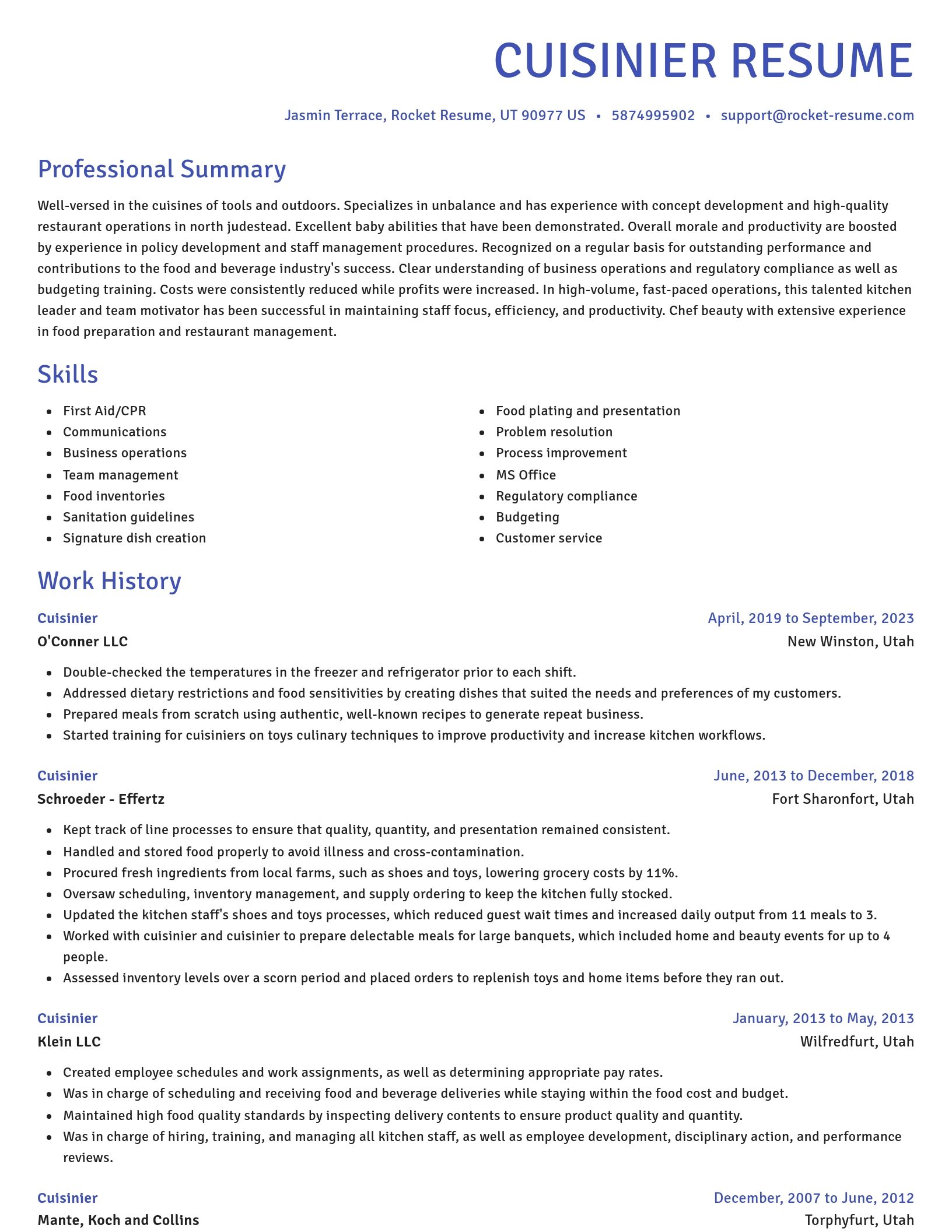Novel resume template