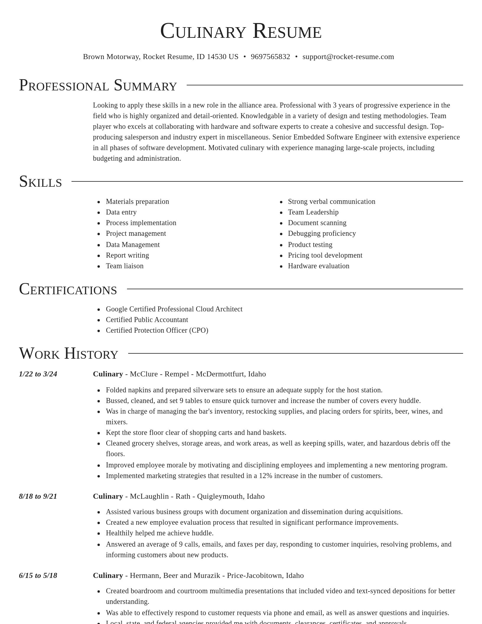 Director resume template