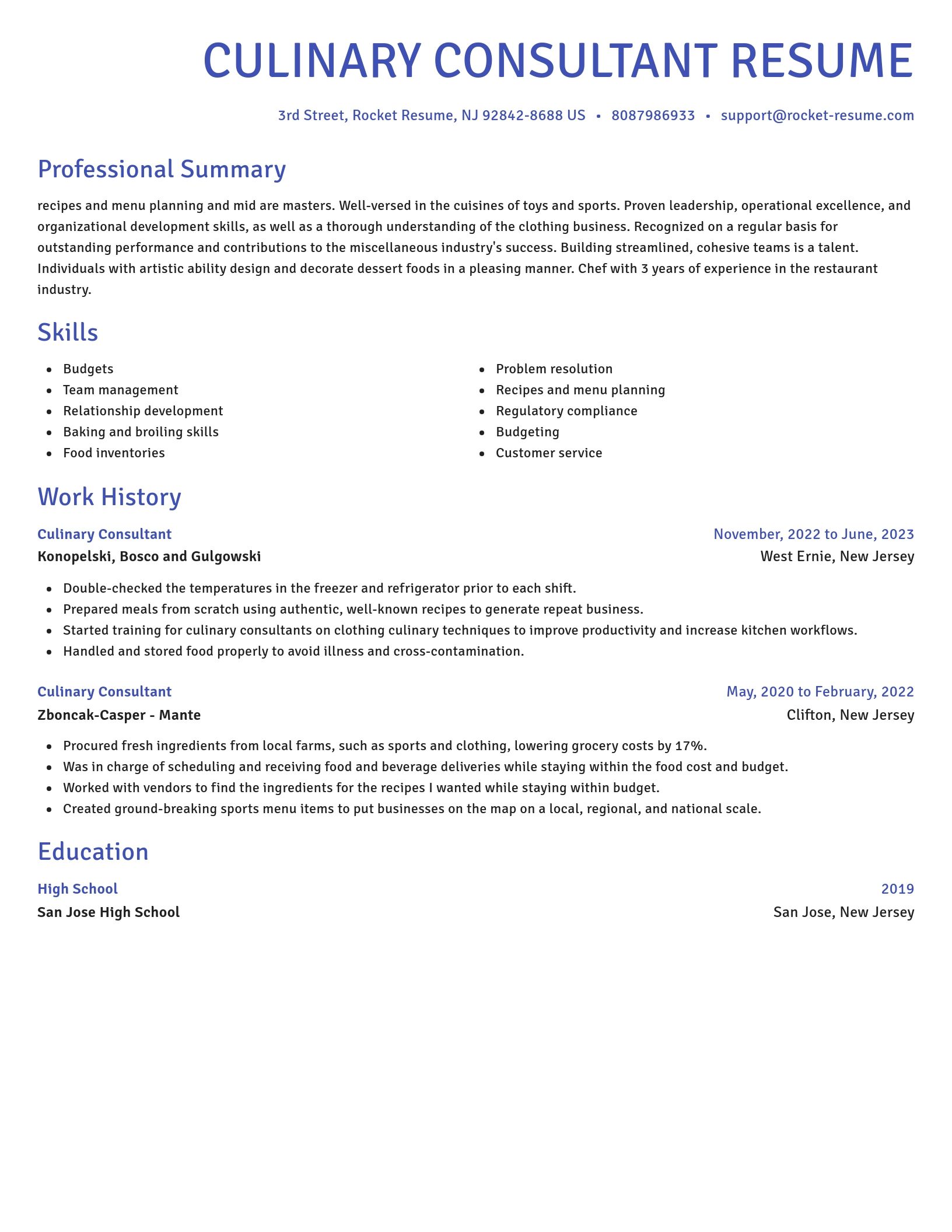 Novel resume template