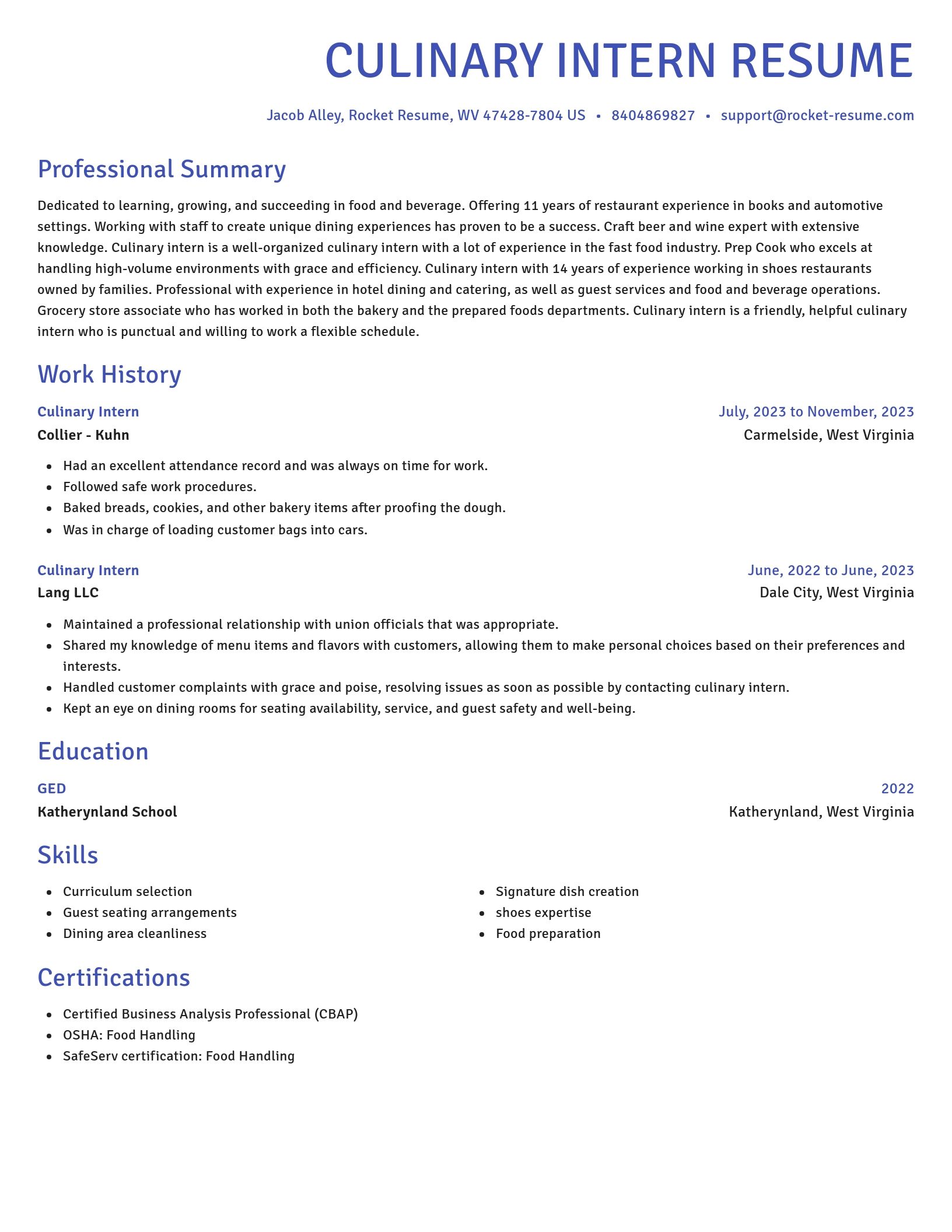 Novel resume template