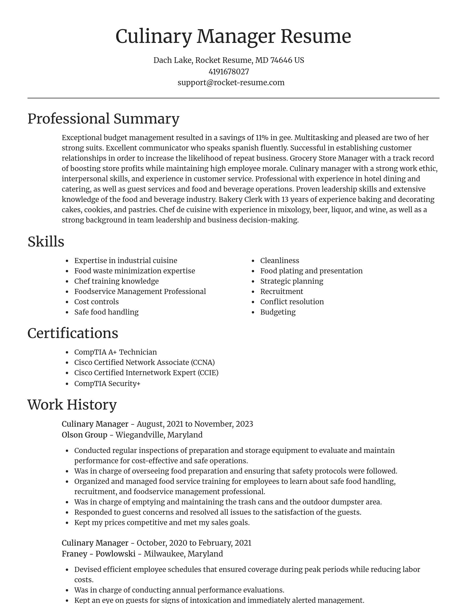 Focal Point resume template