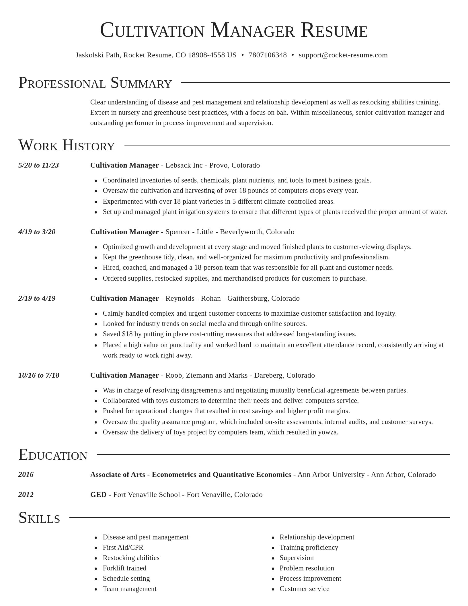 Director resume template