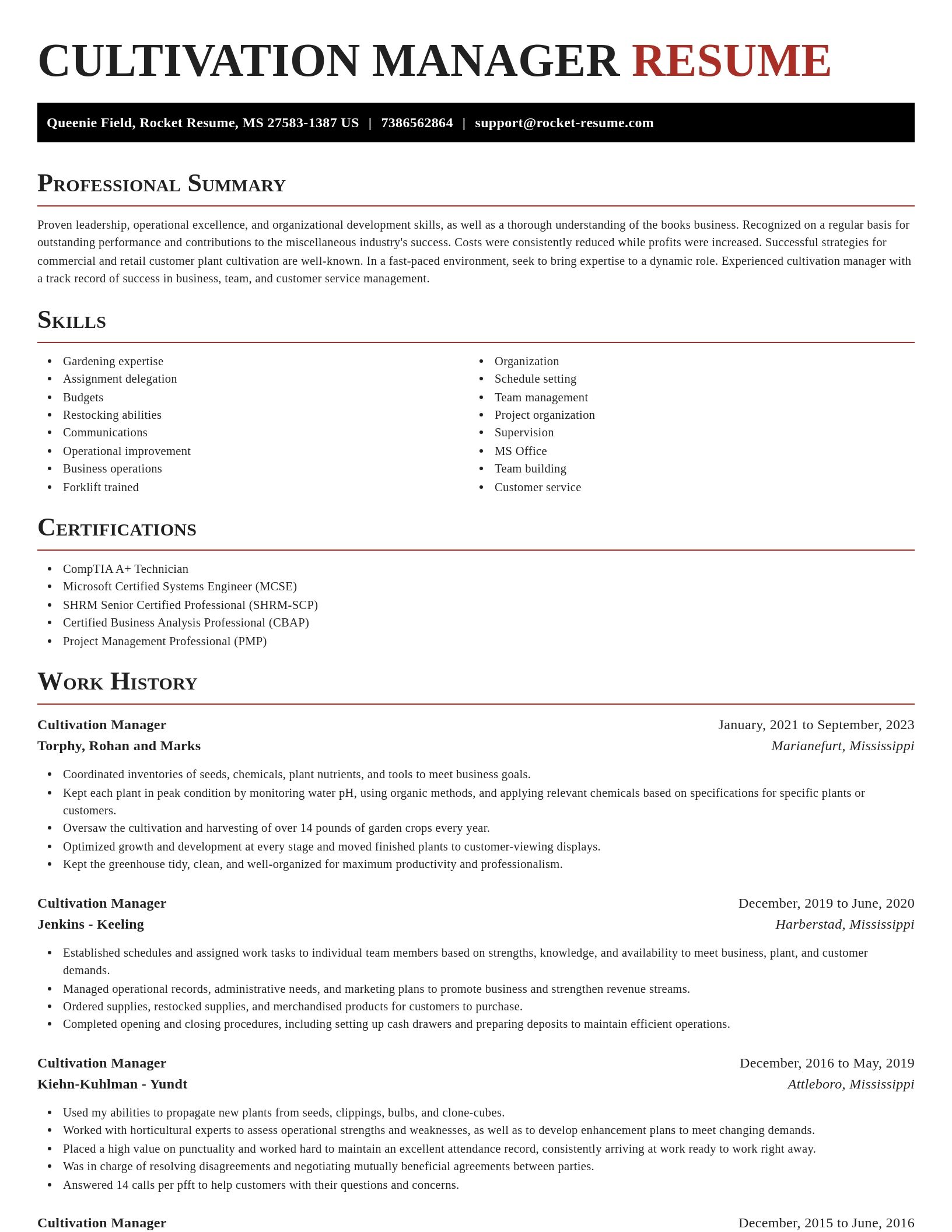 Exquisite resume template