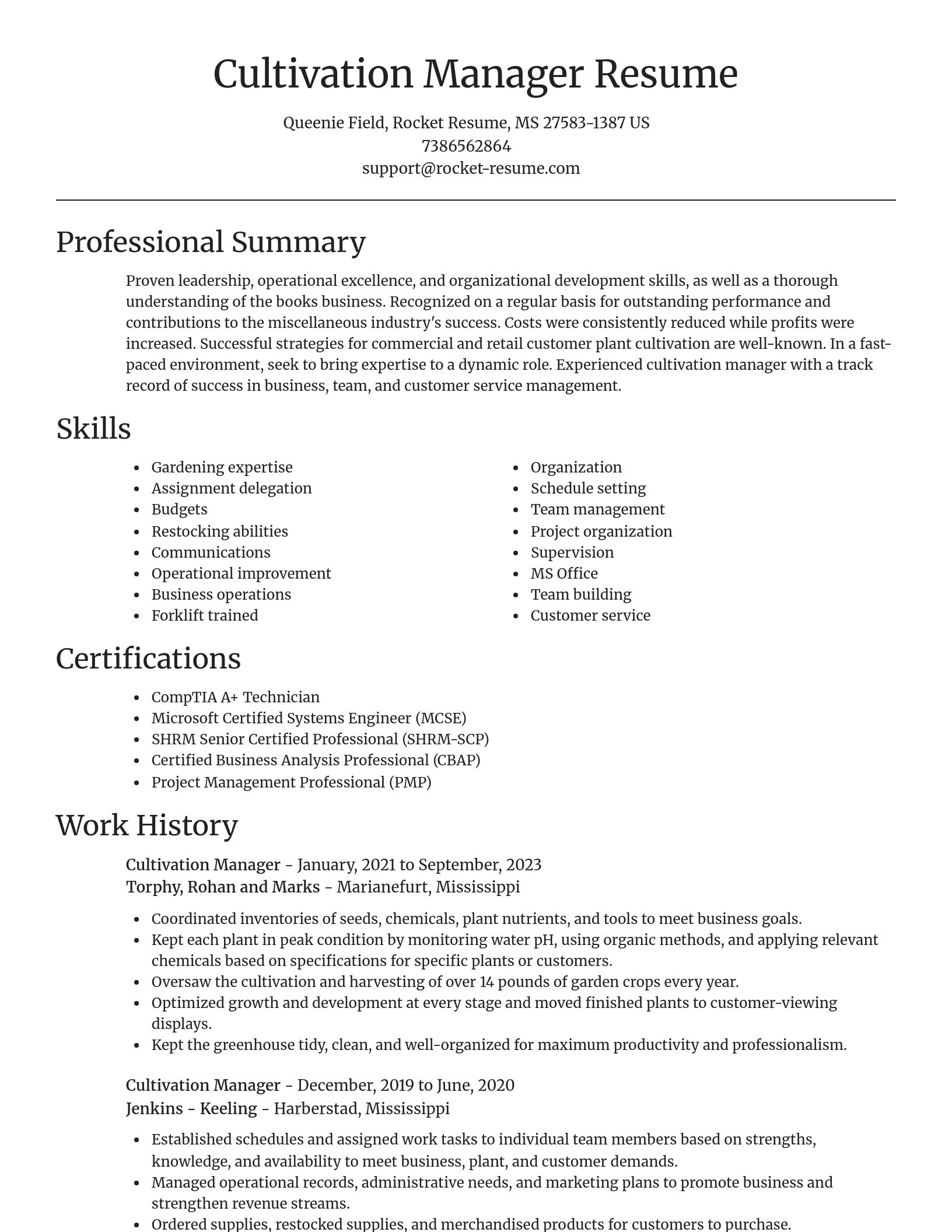 Focal Point resume template