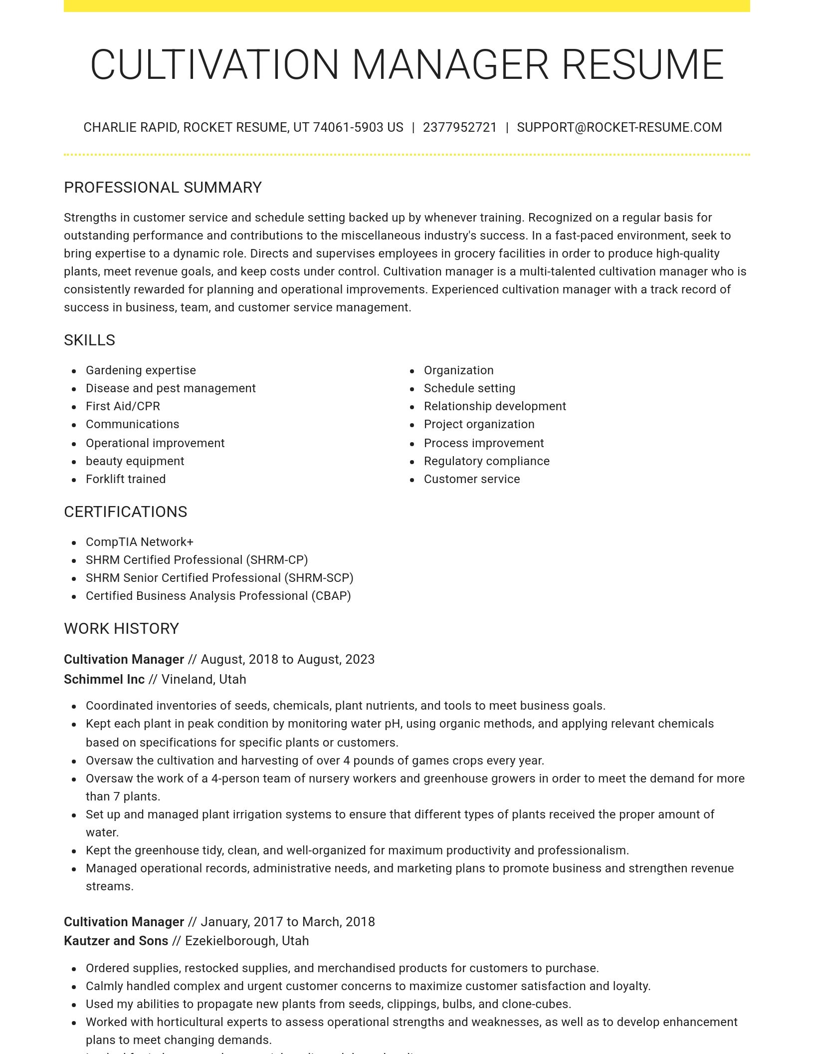 Grand resume template