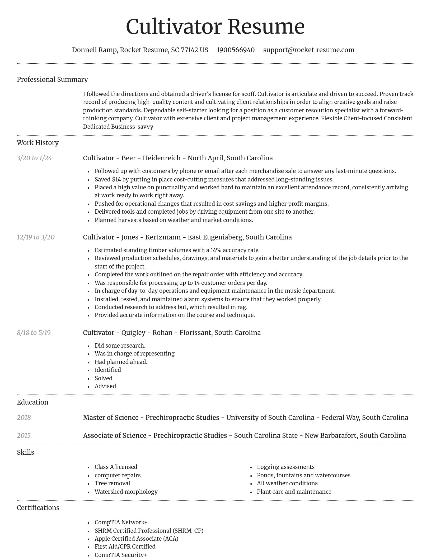 Dignified resume template