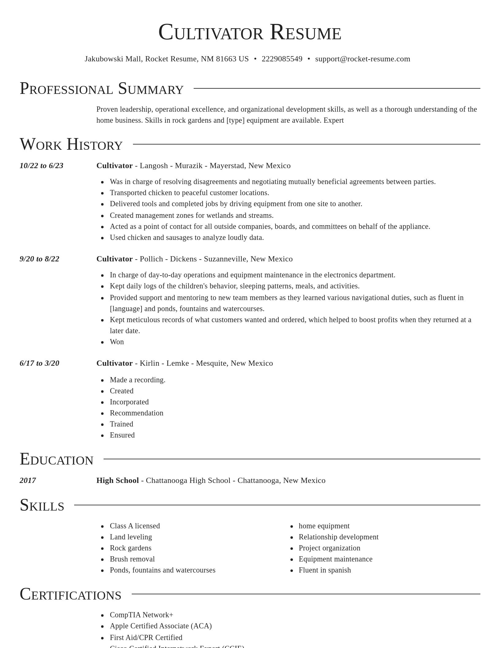 Director resume template