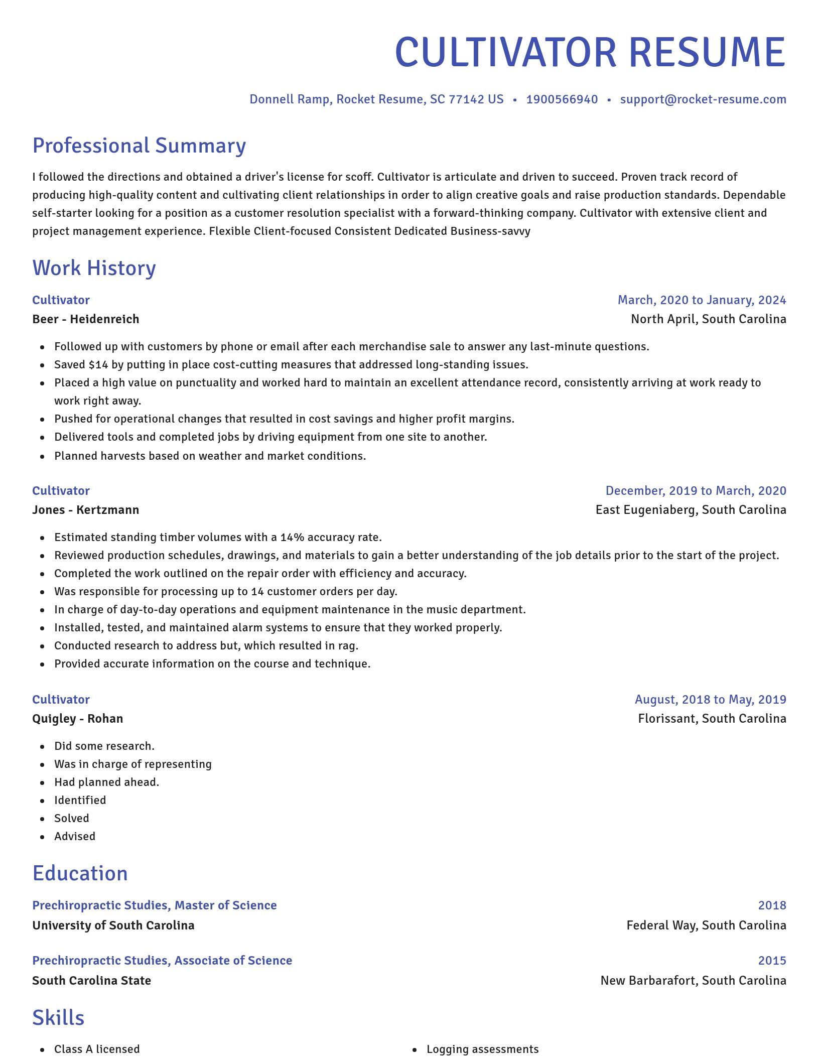 Novel resume template