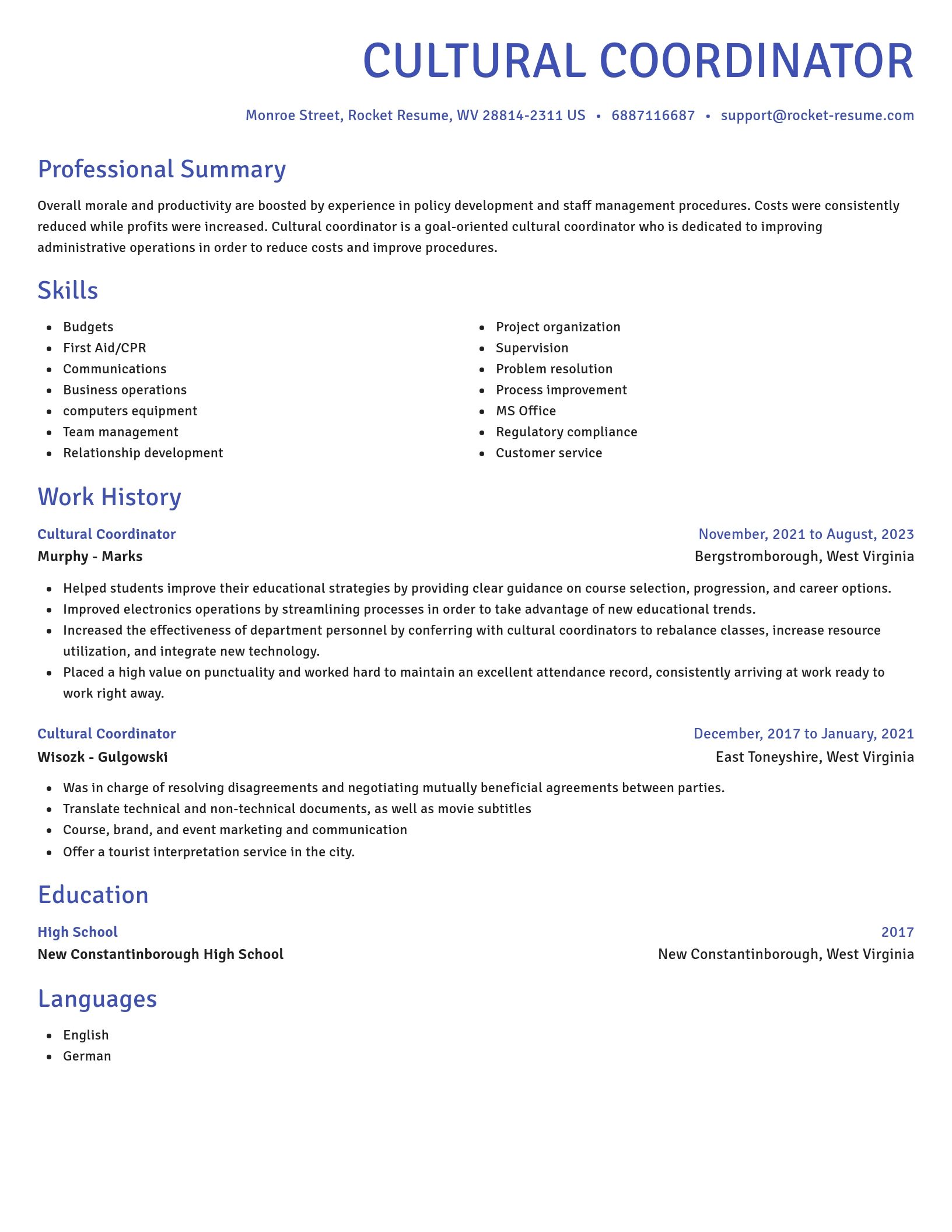 Novel resume template
