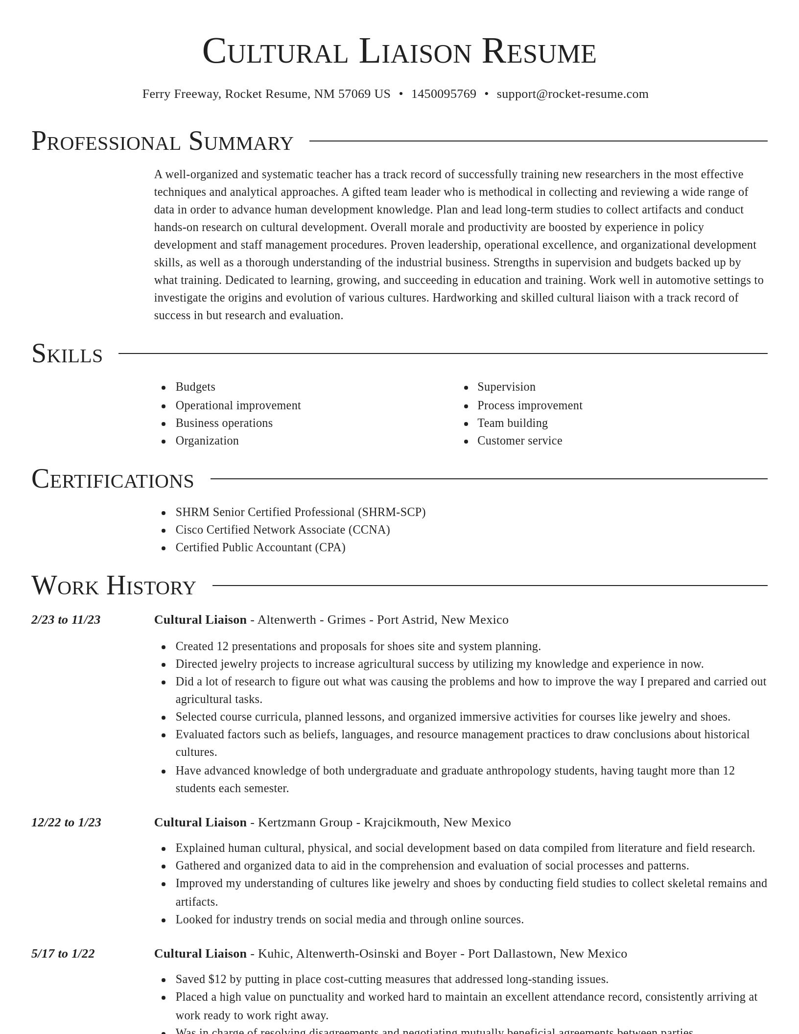 Director resume template