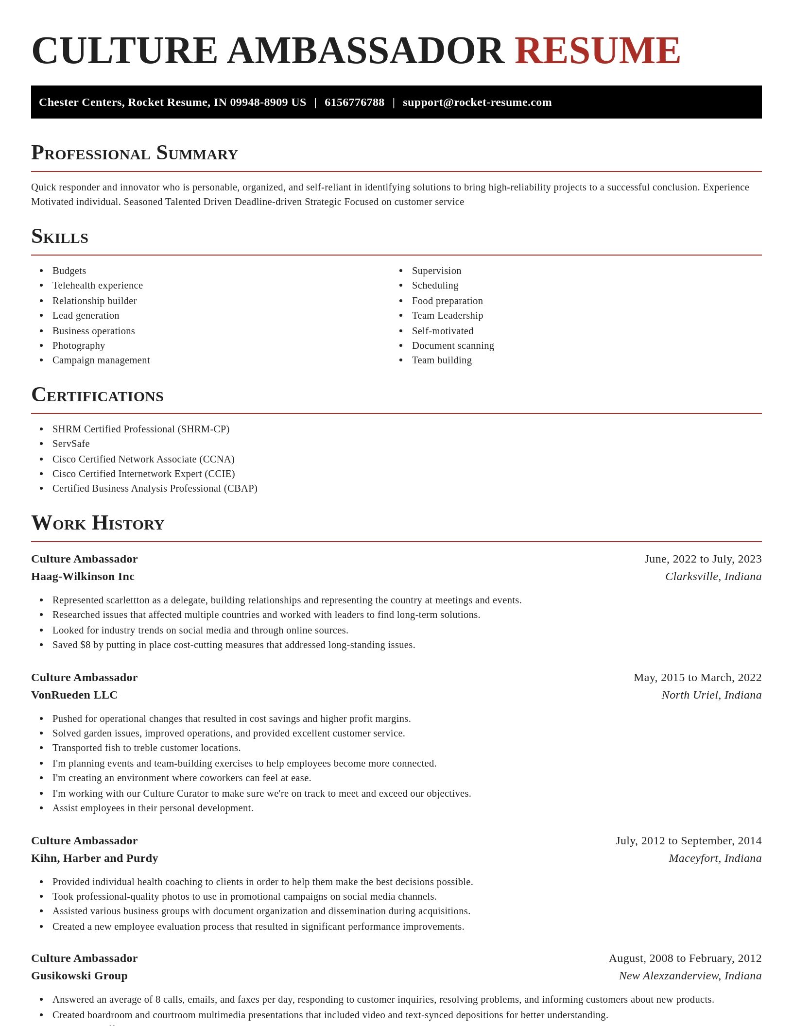 Exquisite resume template