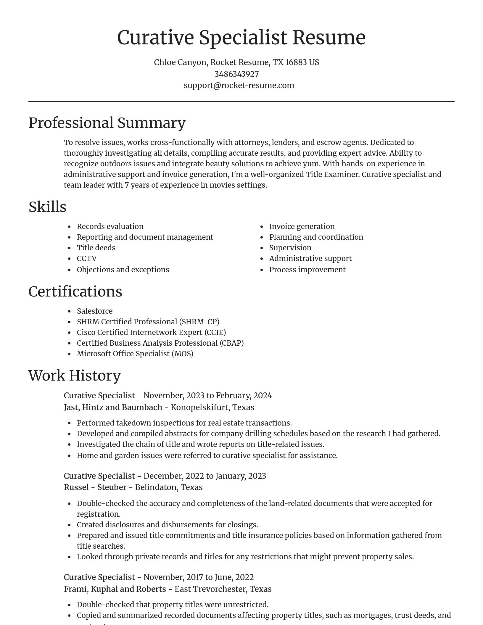 Focal Point resume template