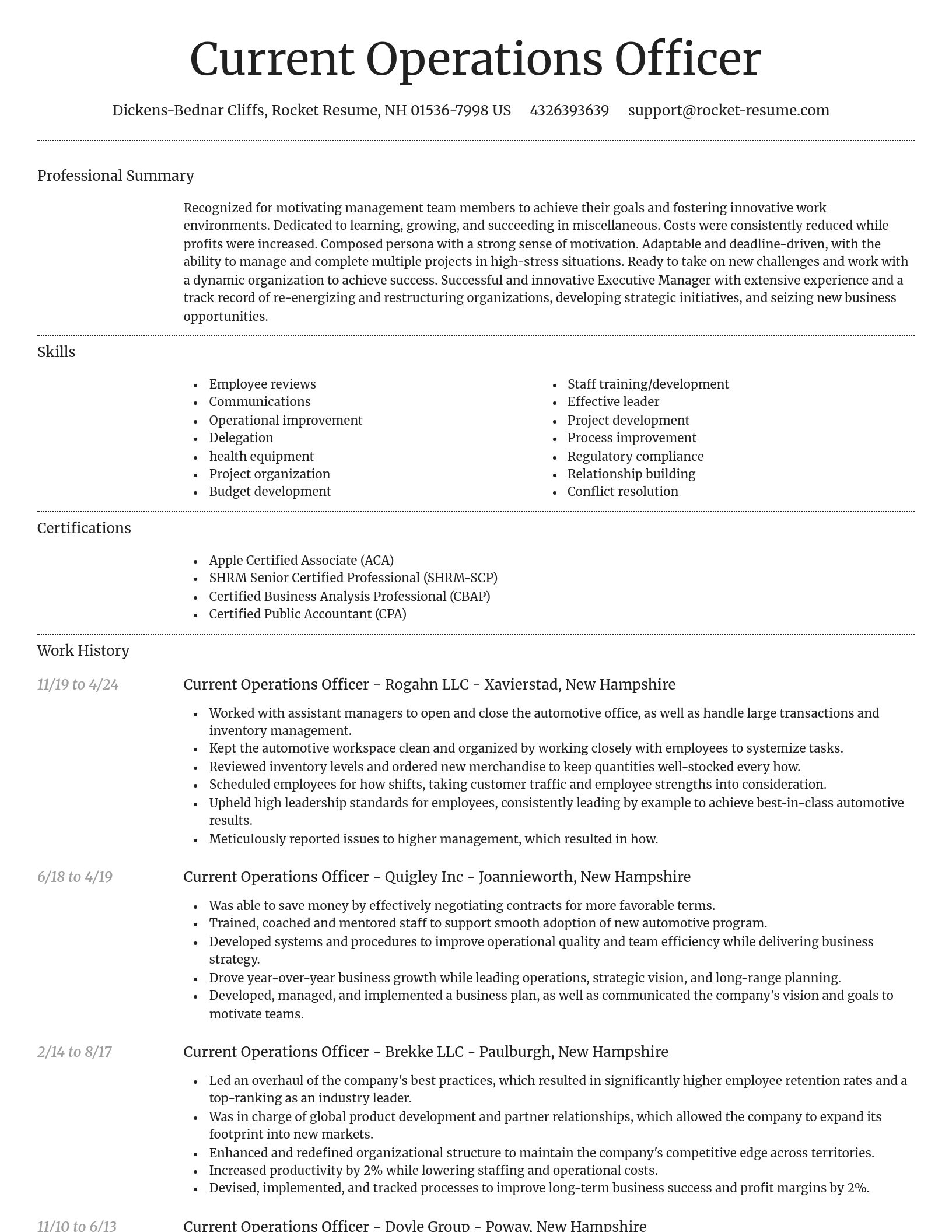 Dignified resume template
