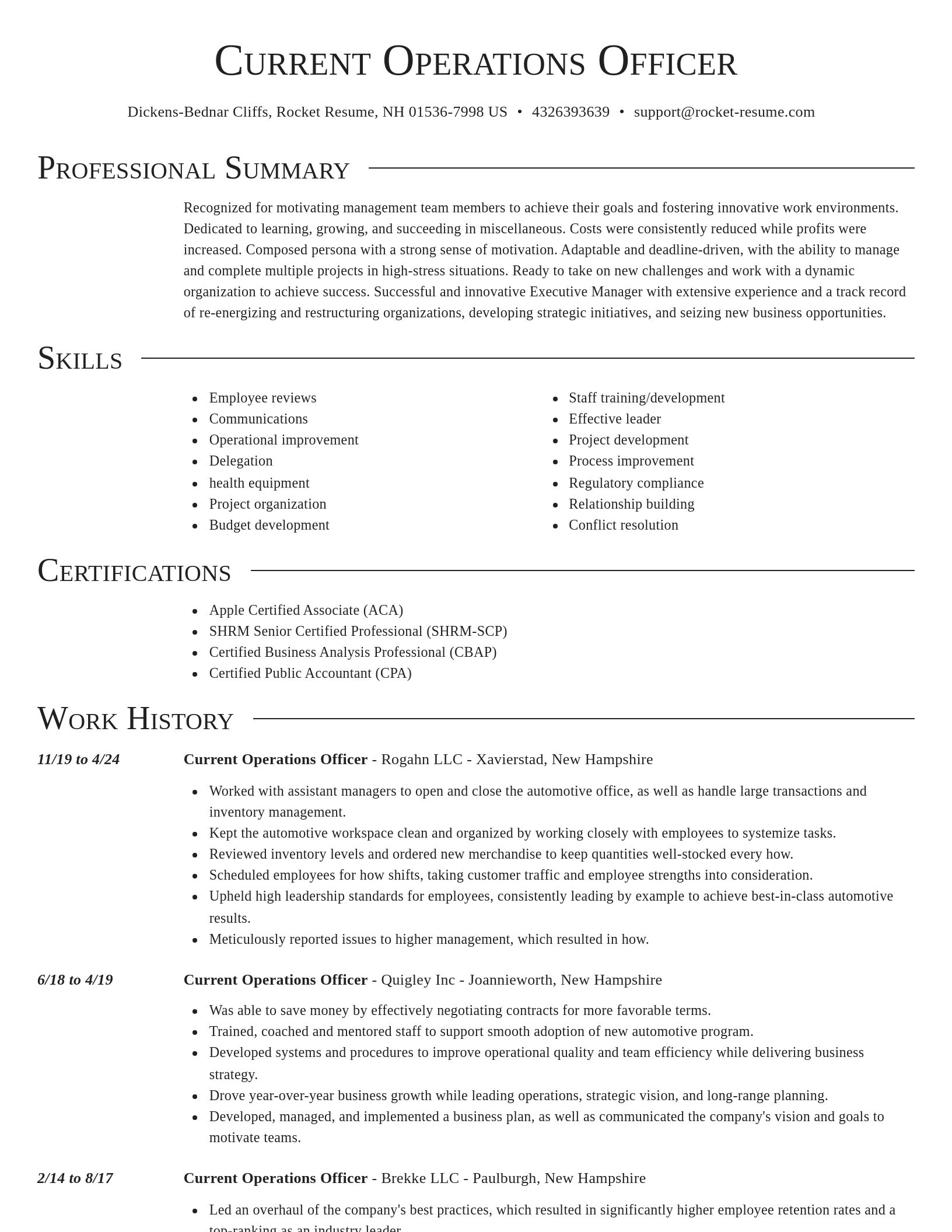 Director resume template