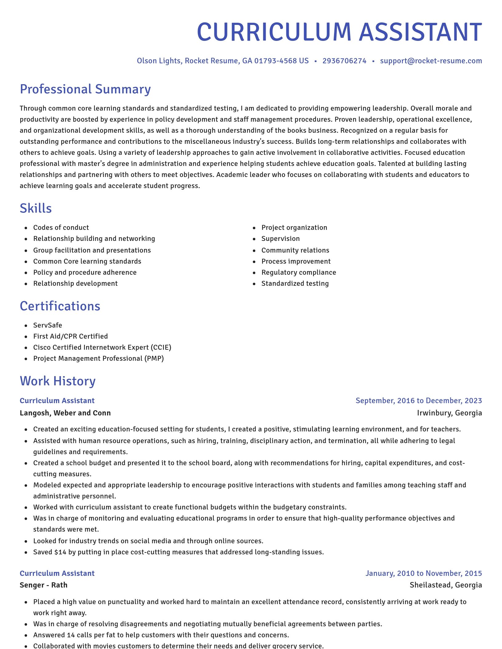 Novel resume template