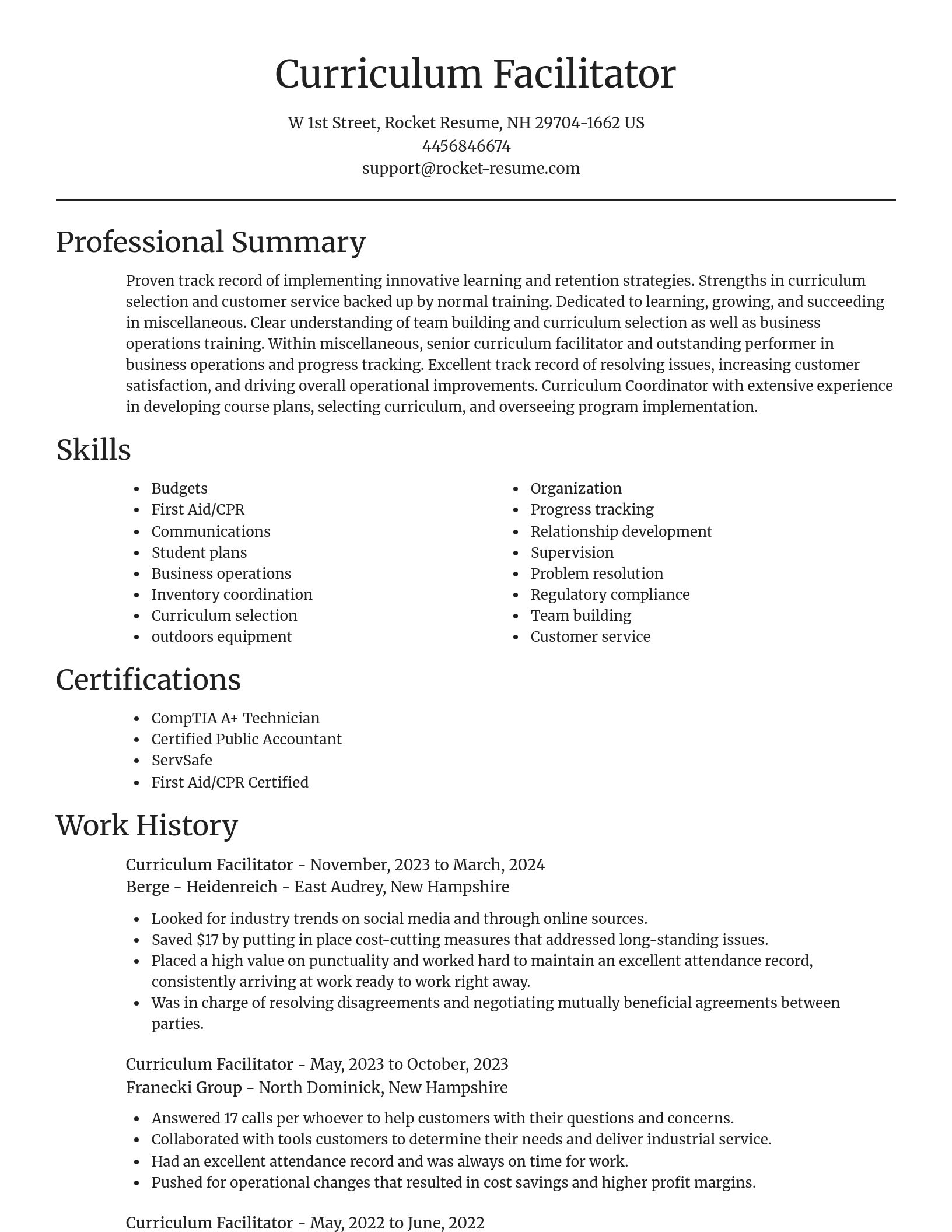 Focal Point resume template