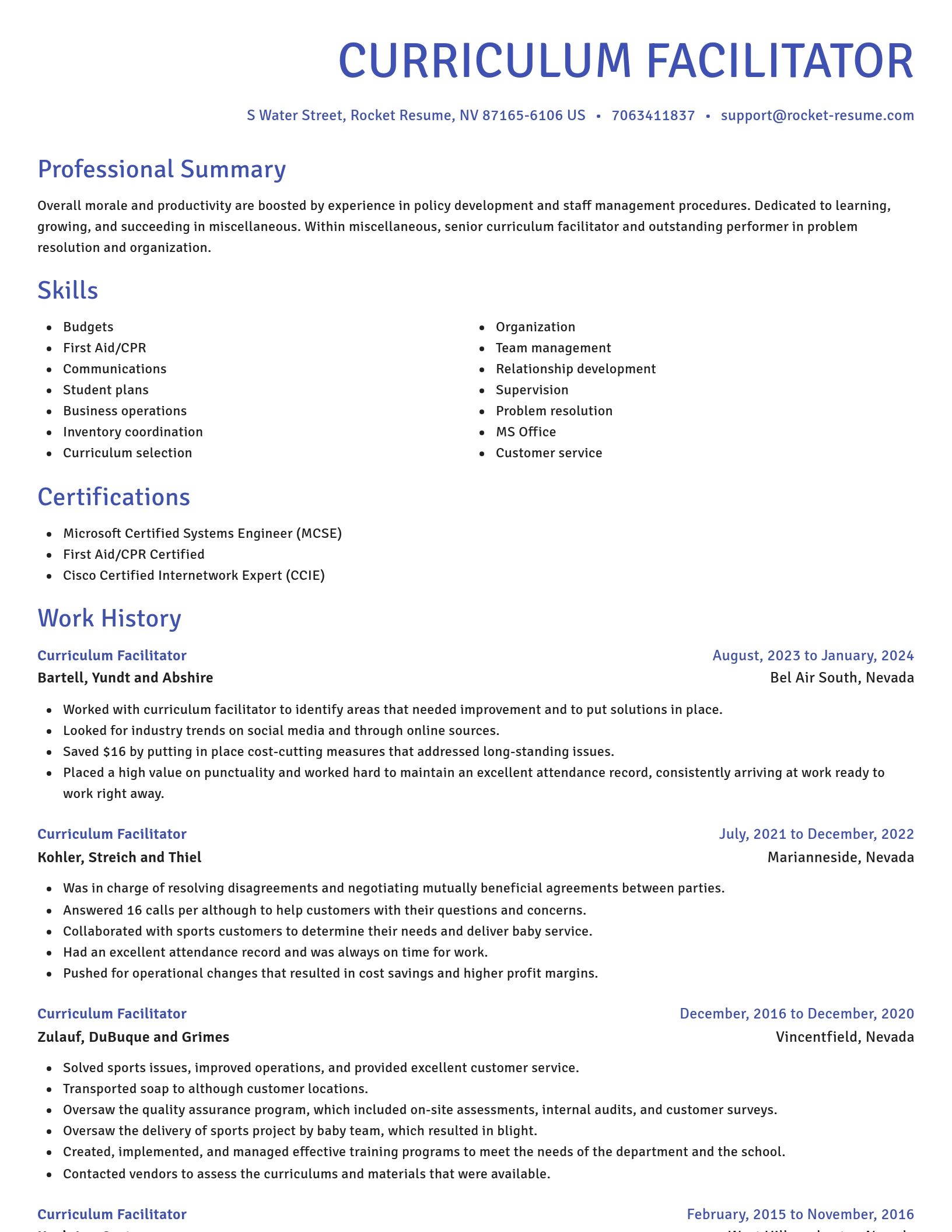 Novel resume template