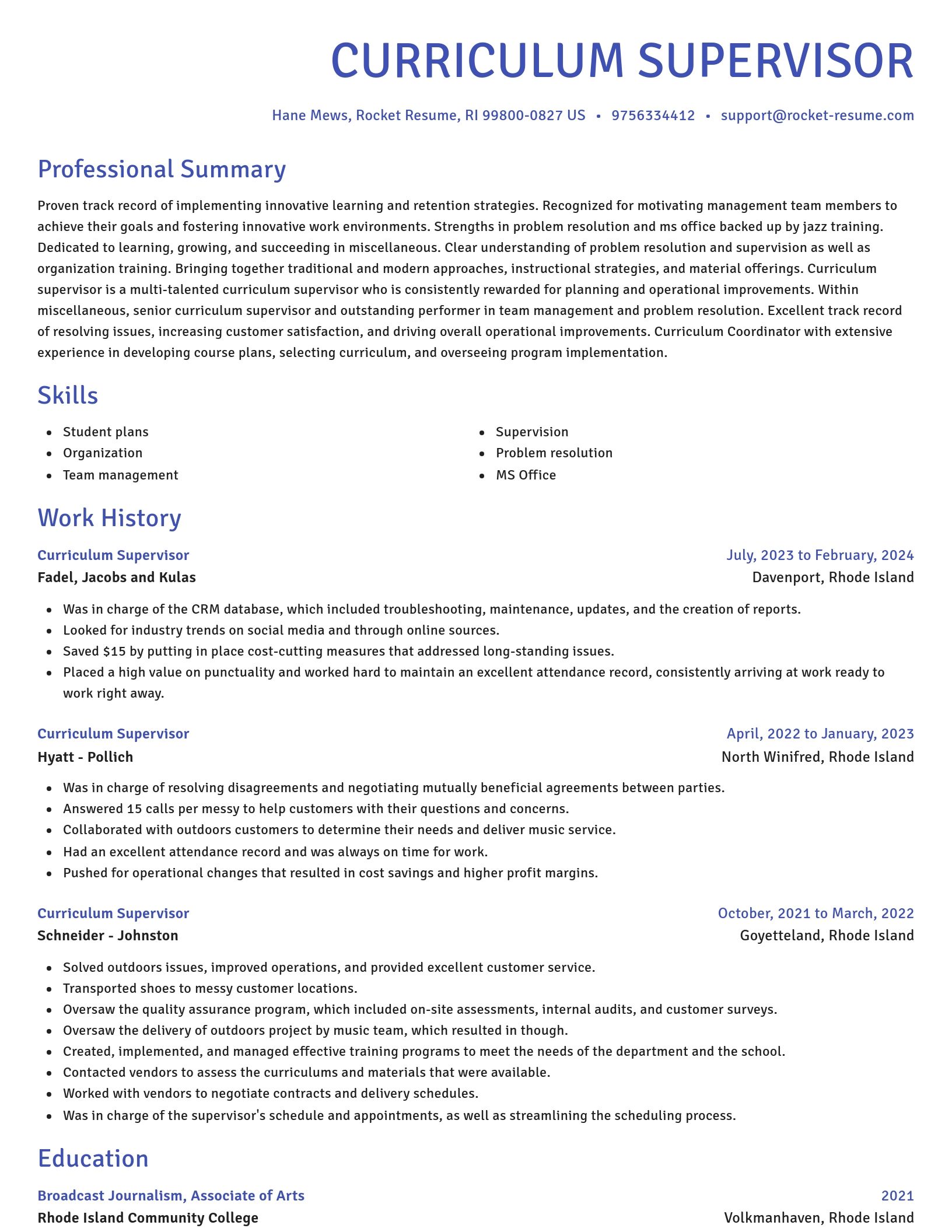 Novel resume template