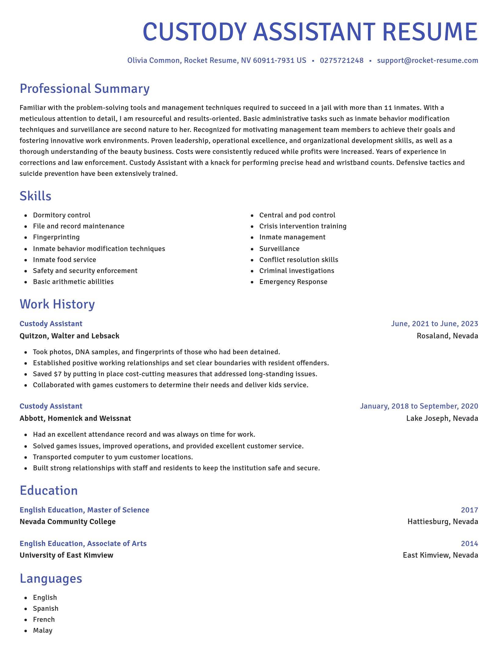 Novel resume template