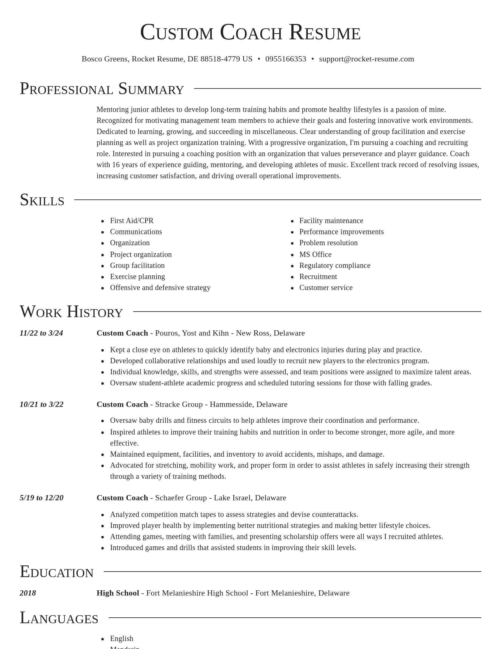Director resume template