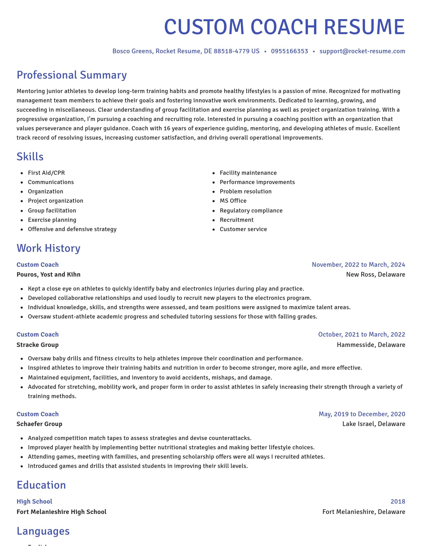 Novel resume template