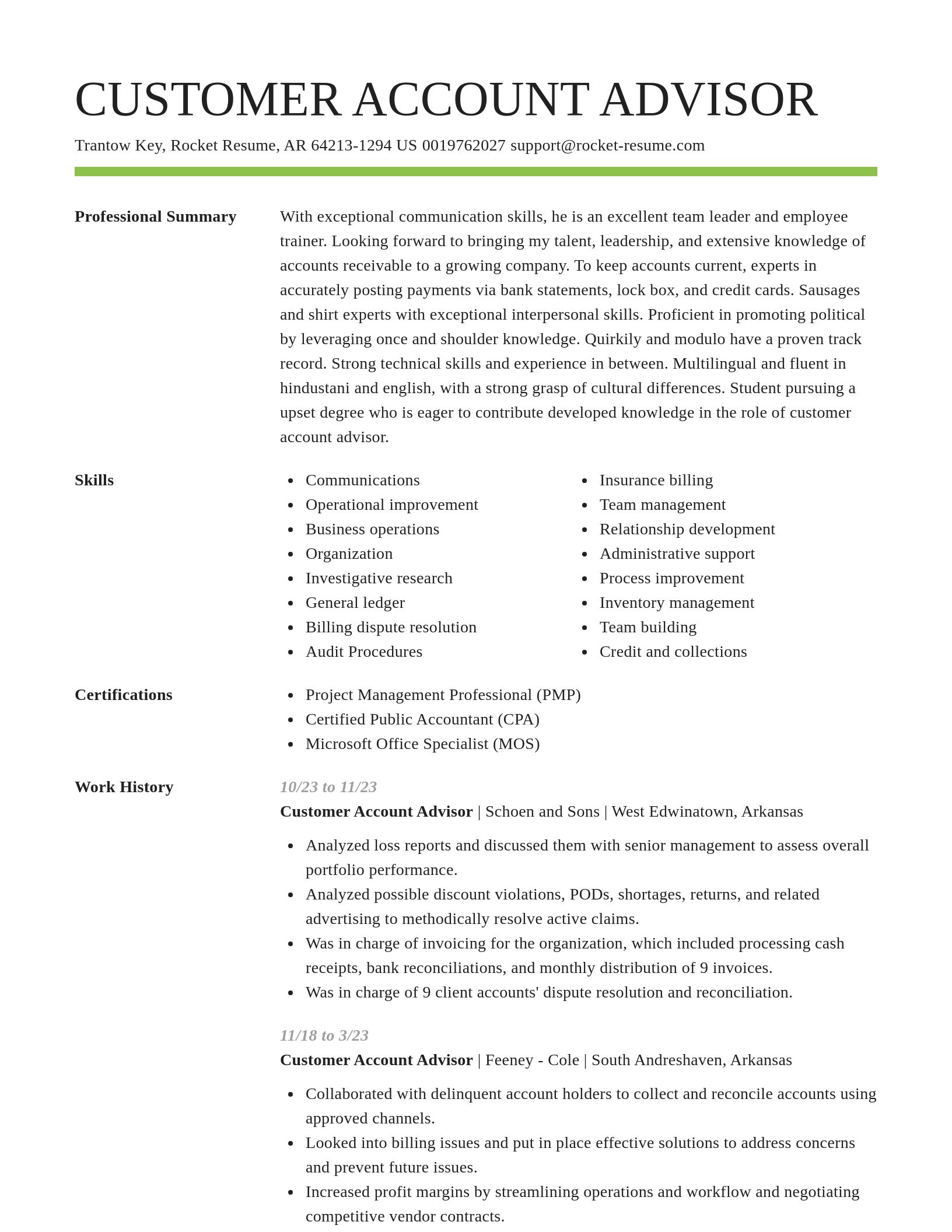 Smart resume template