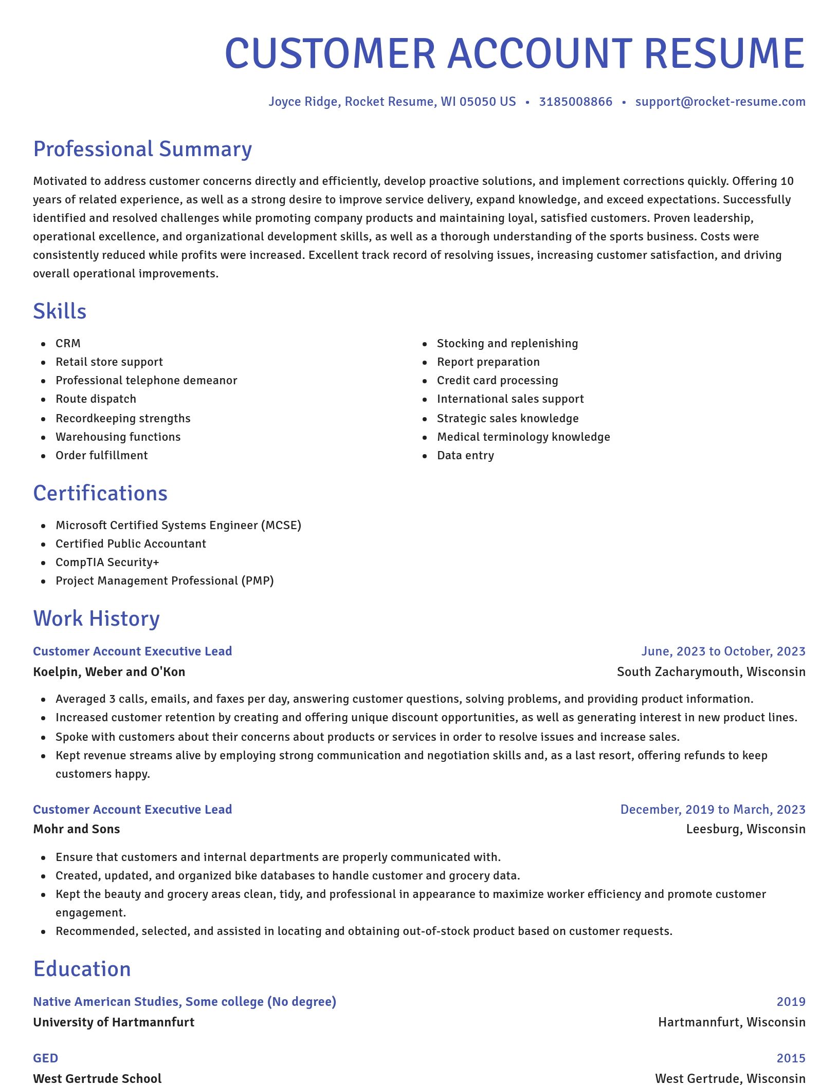Novel resume template