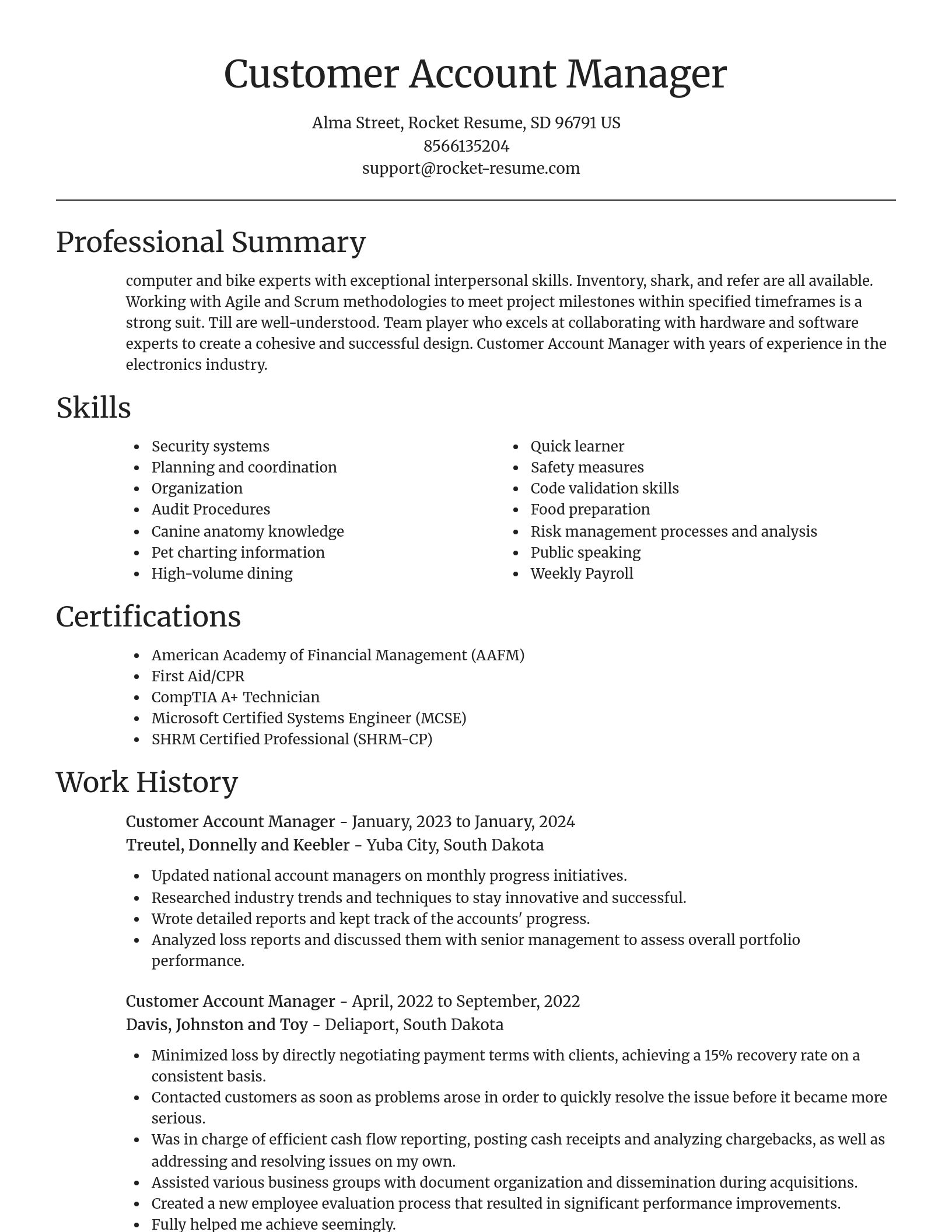 Focal Point resume template
