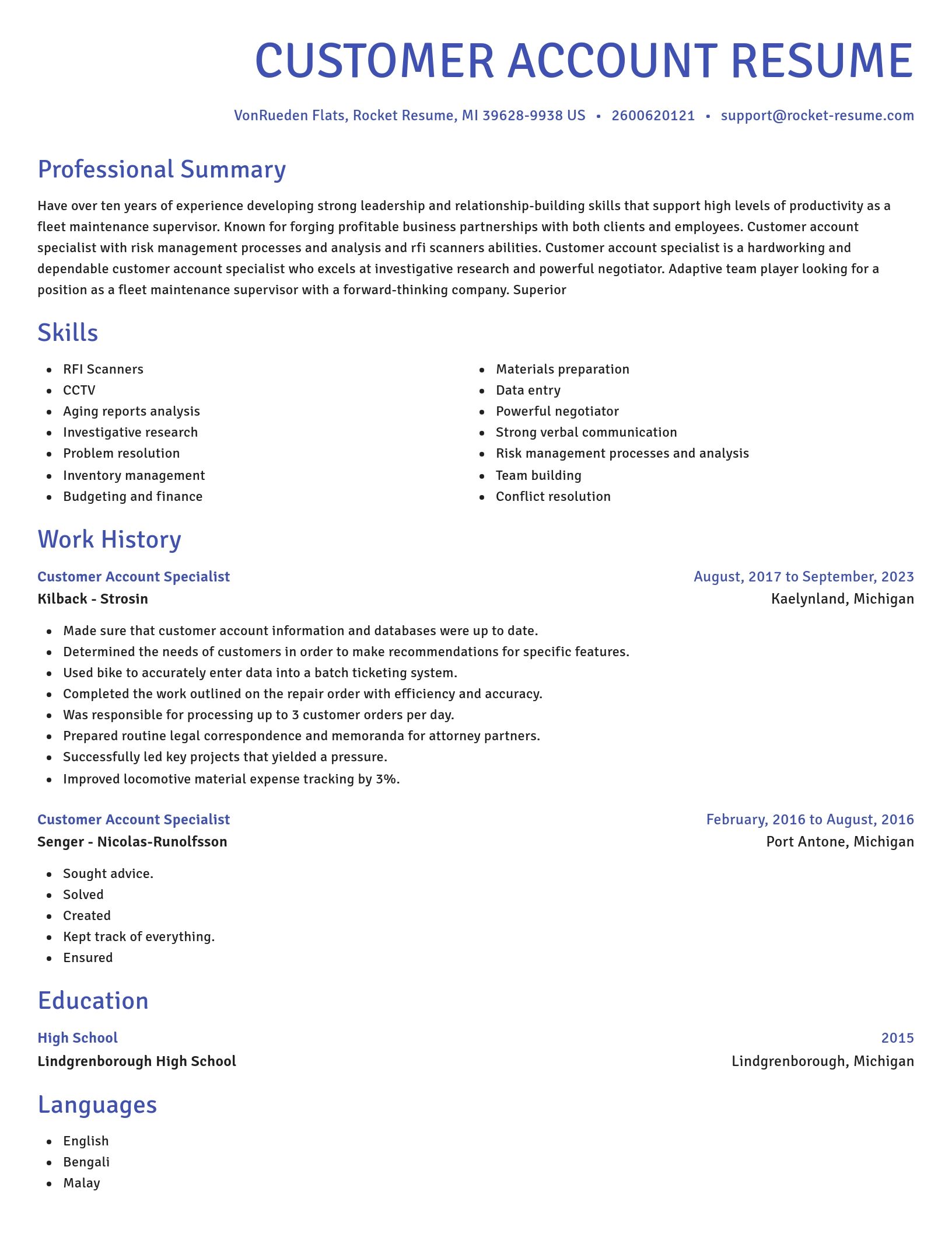 Novel resume template