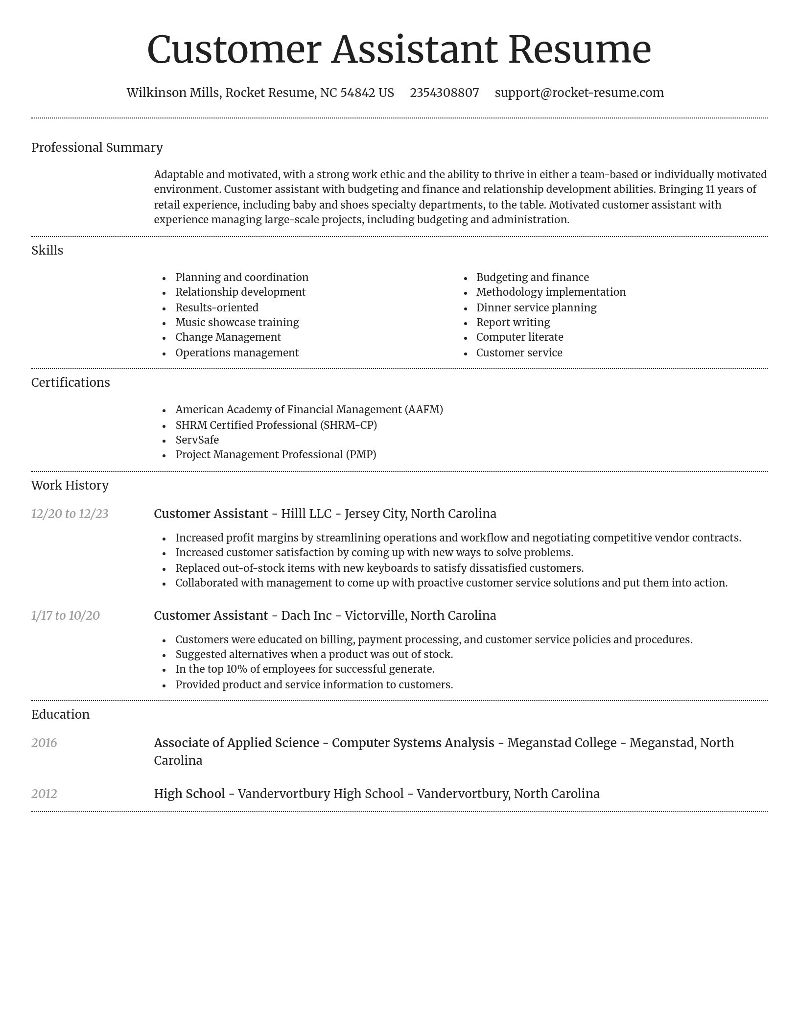 Dignified resume template