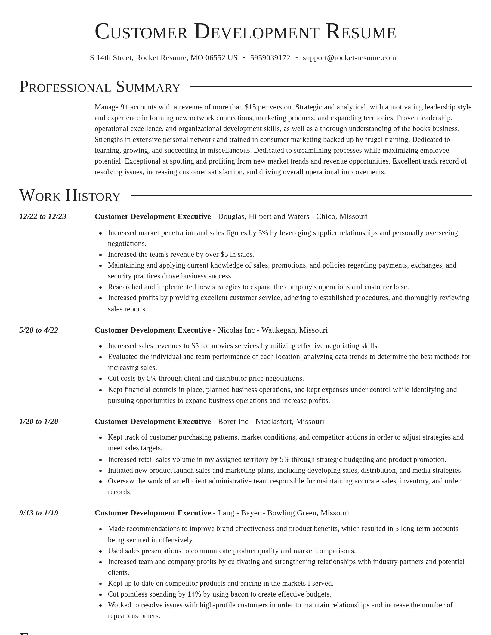 Director resume template
