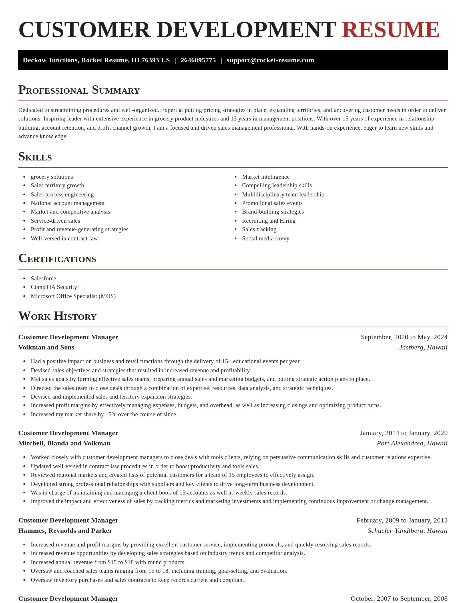 Exquisite resume template