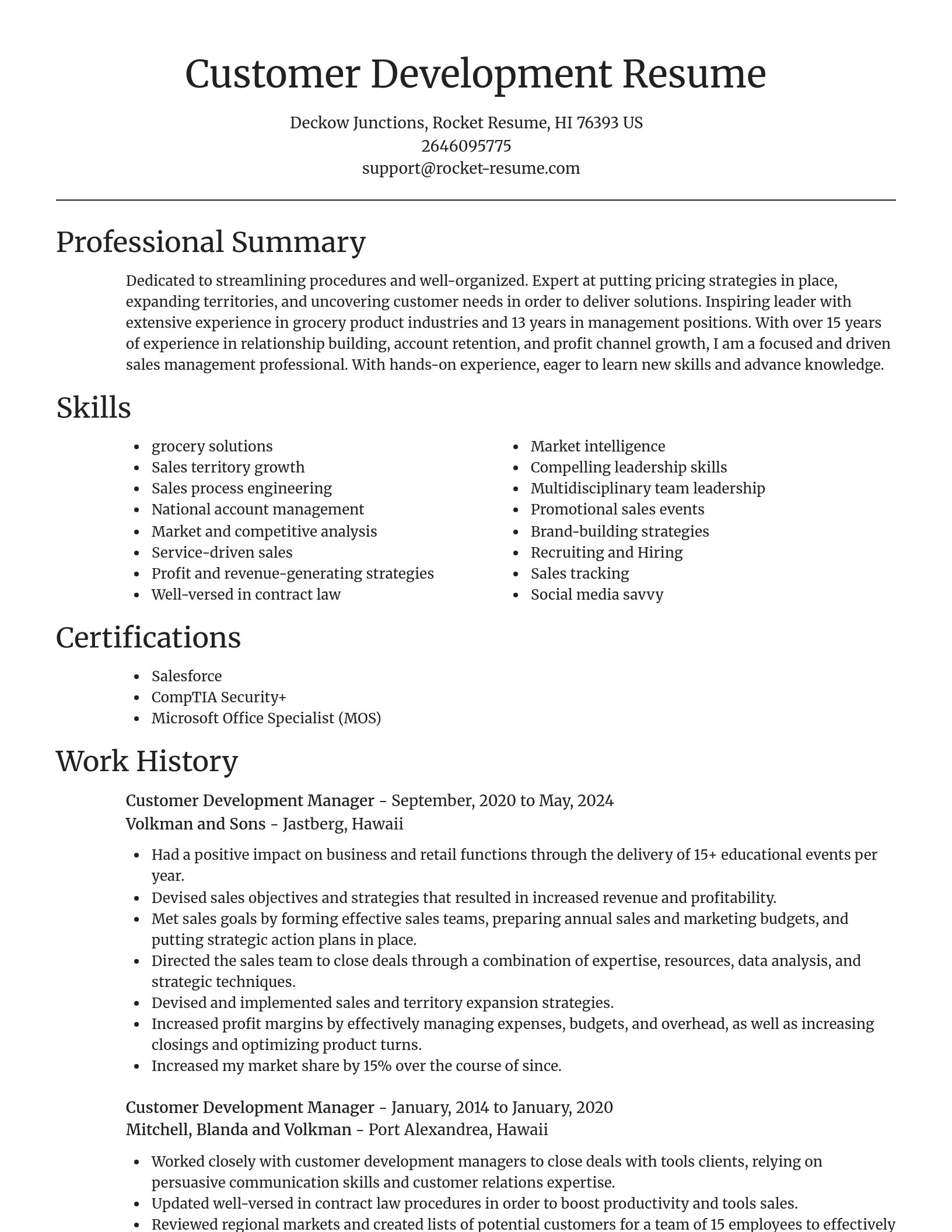 Focal Point resume template