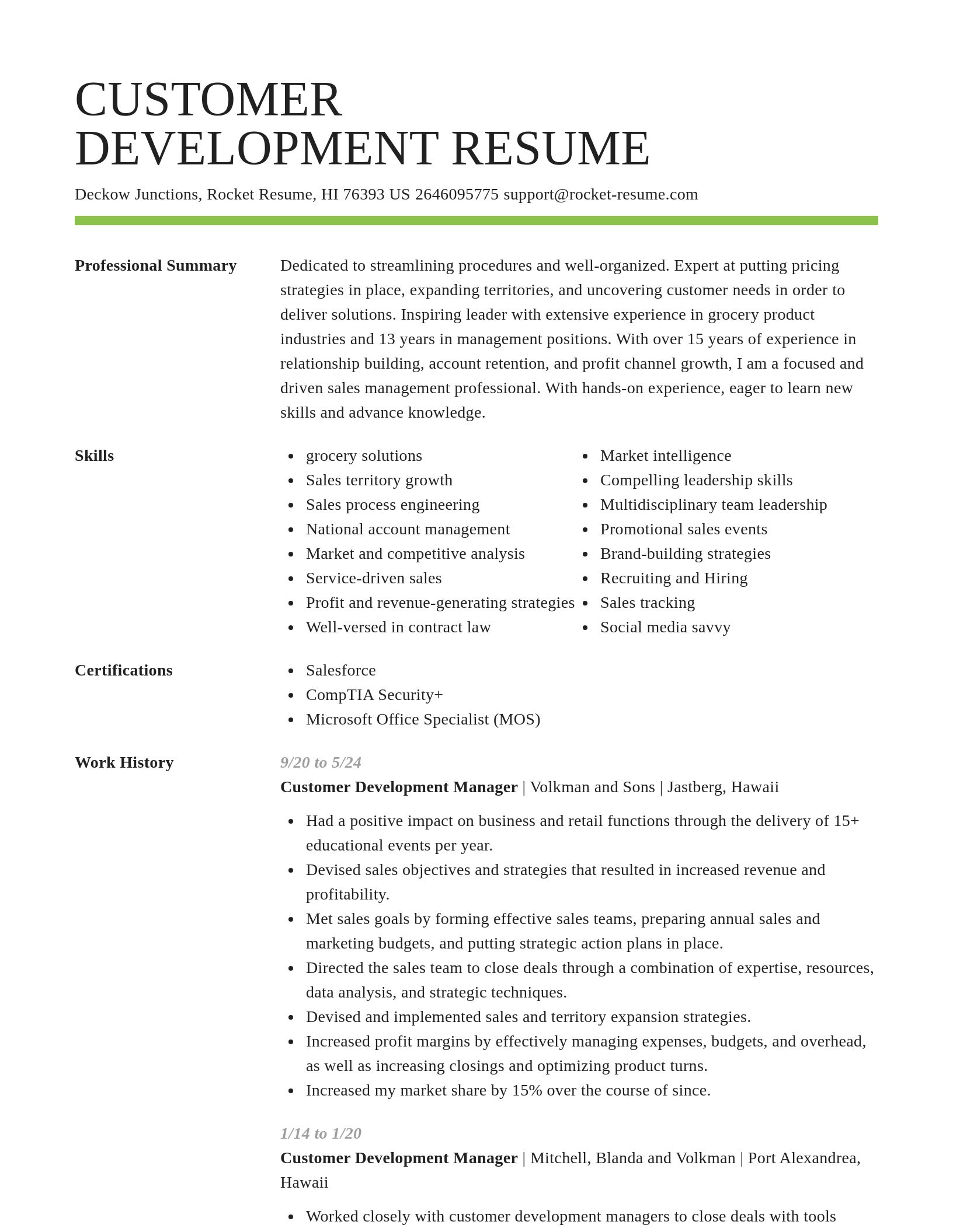 Smart resume template