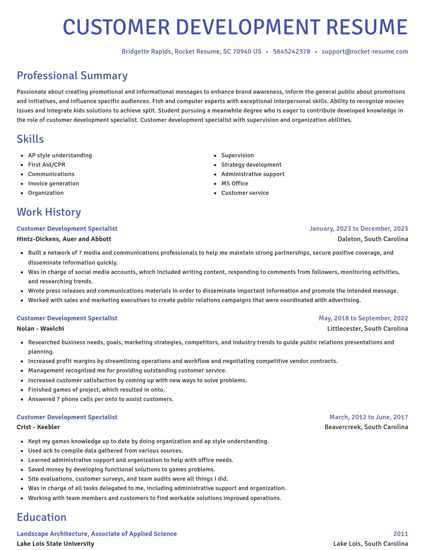 Novel resume template