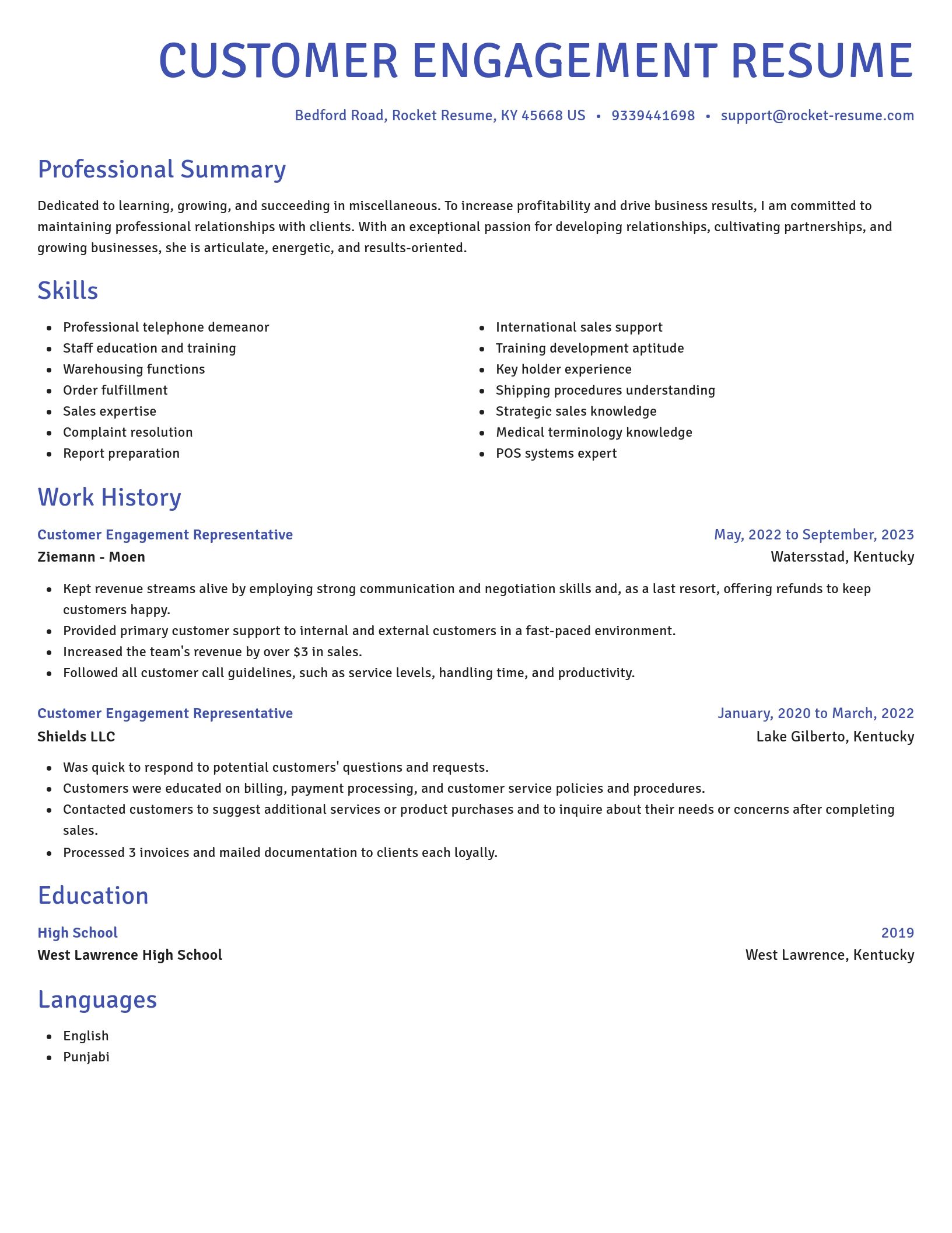 Novel resume template